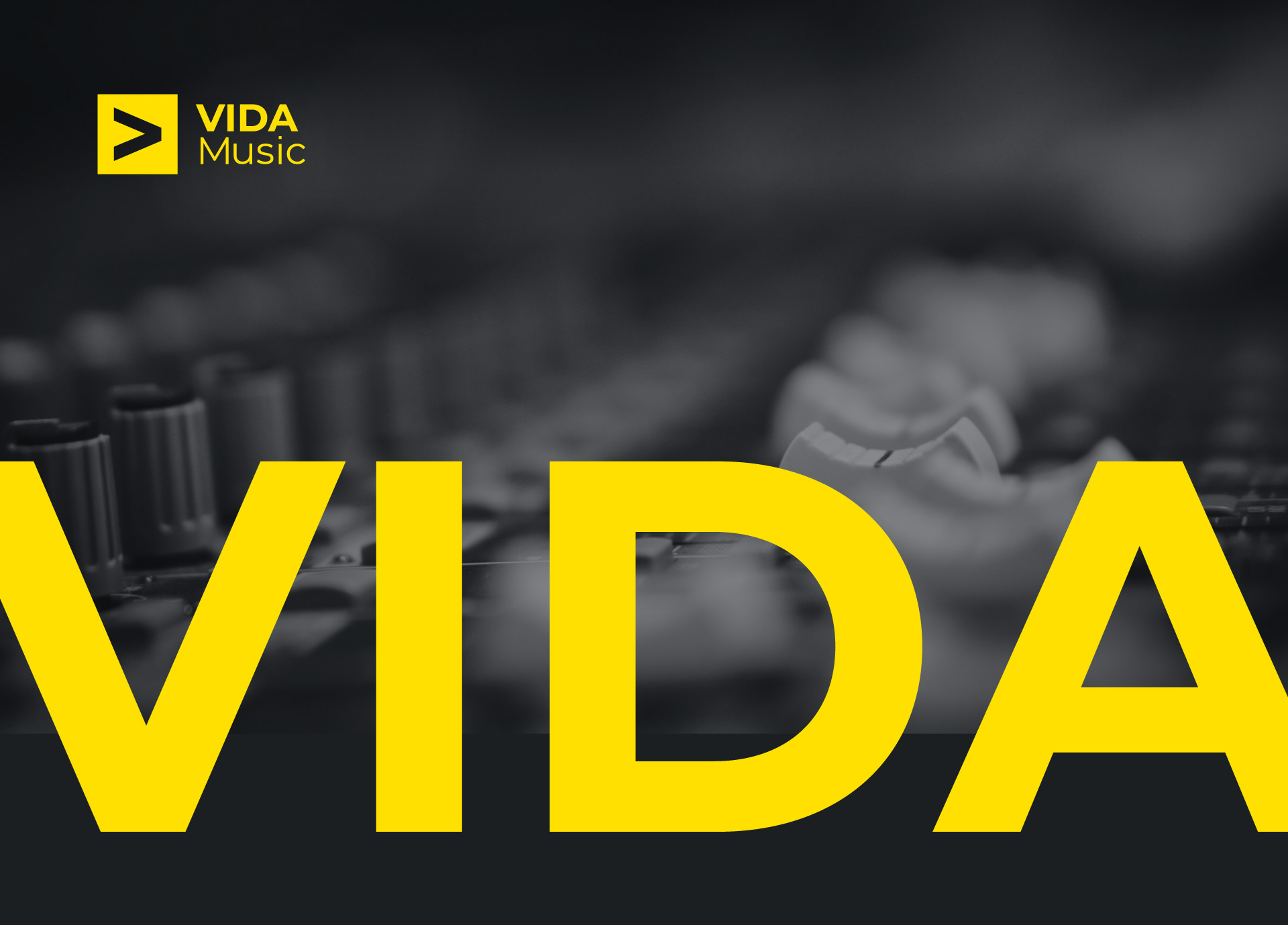 VIDA Music — Изображение №1 — Брендинг на Dprofile