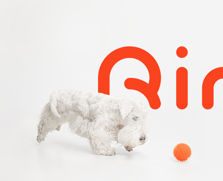 Ring Soft Font — Графика на Dprofile