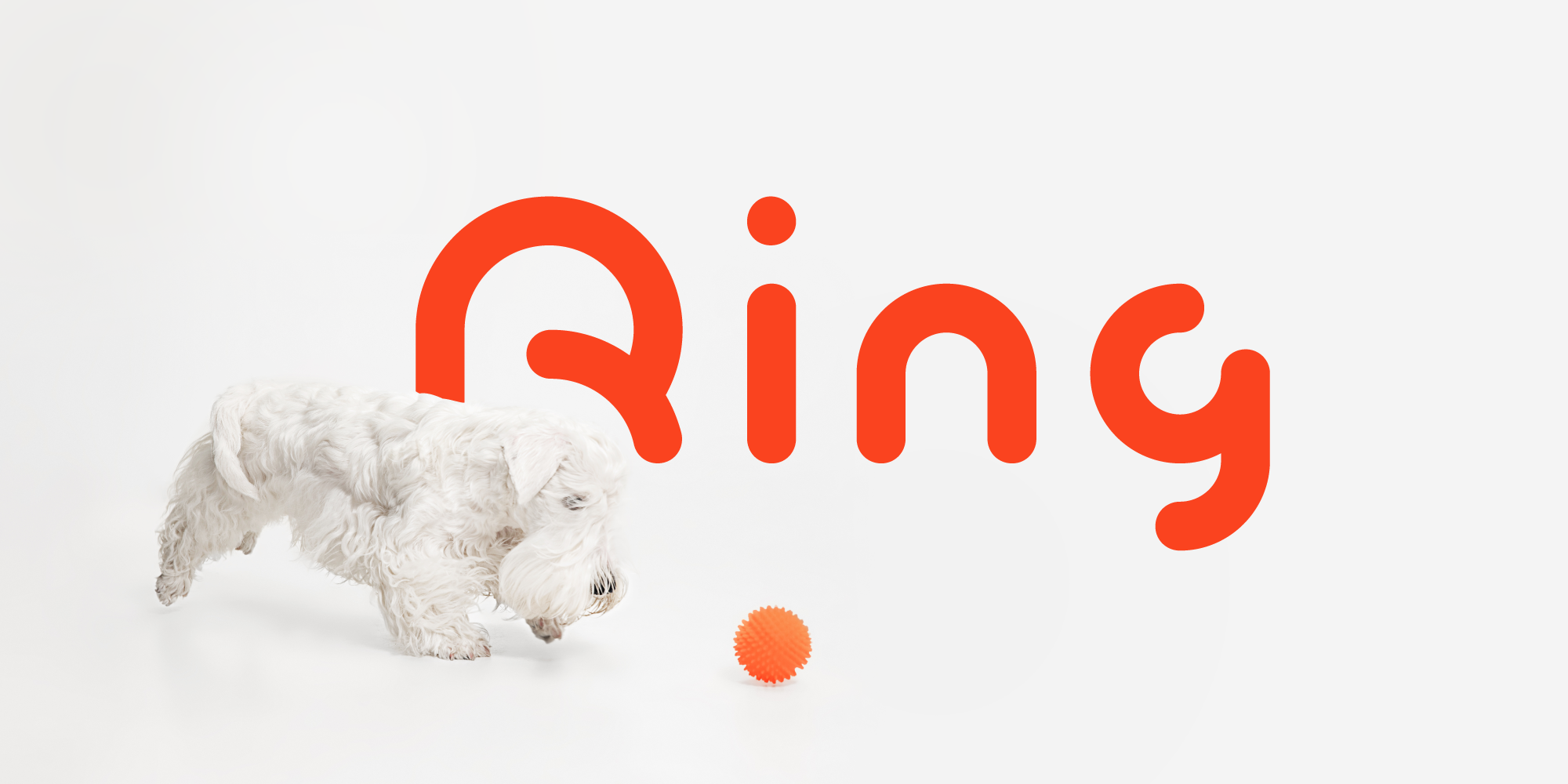 Ring Soft Font — Изображение №1 — Графика на Dprofile