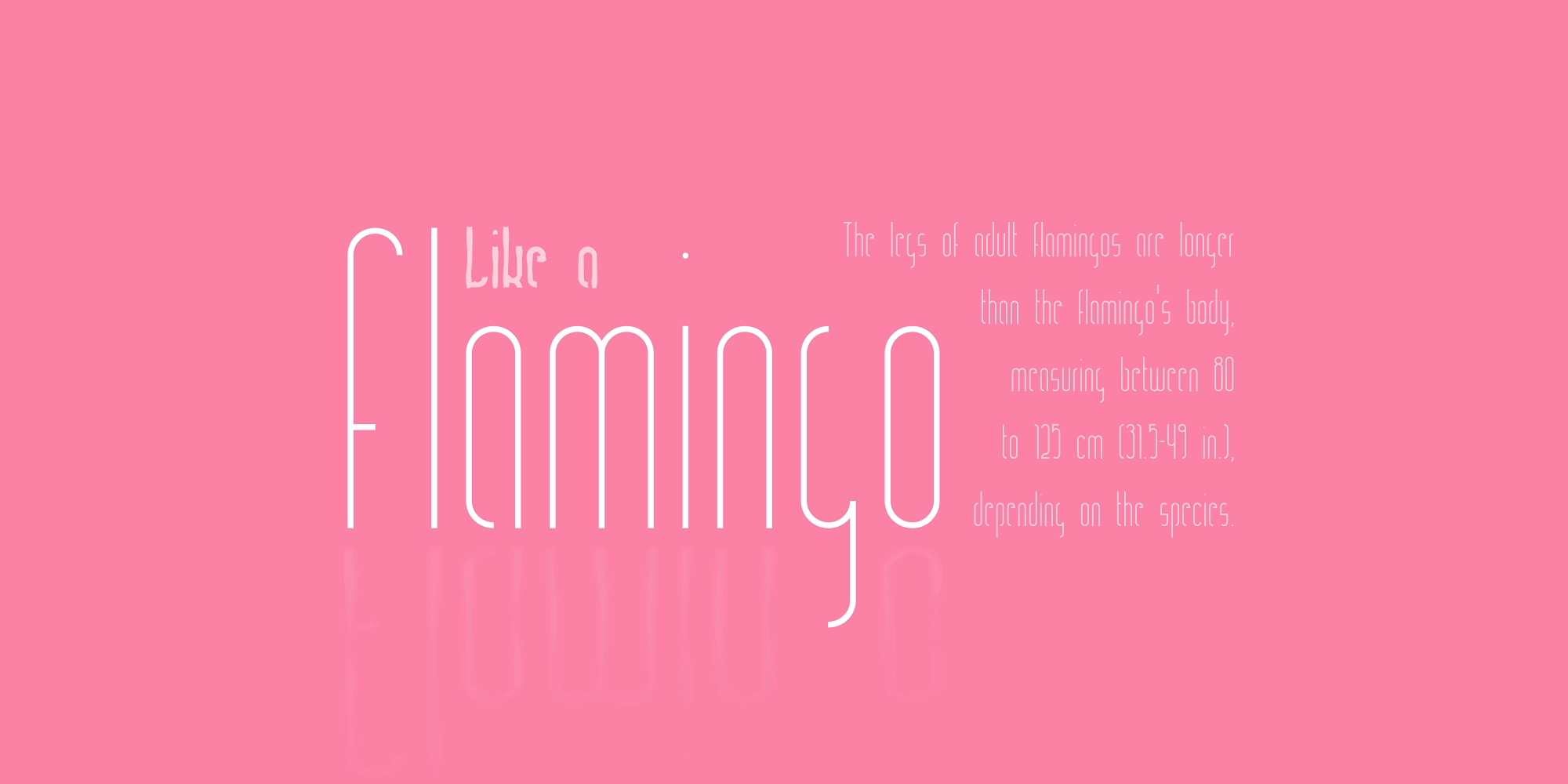 Ring Legs Font — Изображение №3 — Графика на Dprofile