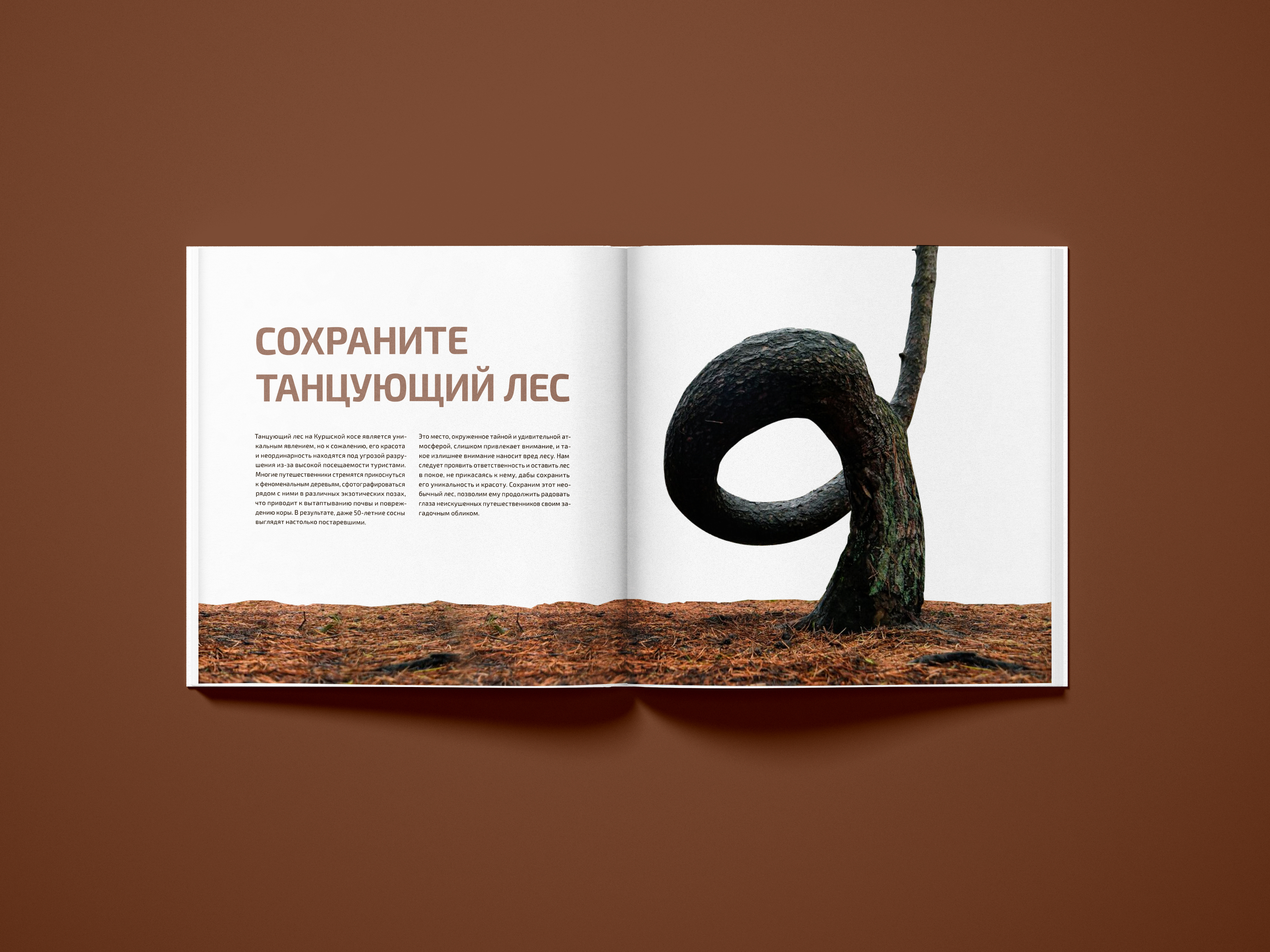 Куршская коса | Альманах — Изображение №12 — Графика на Dprofile