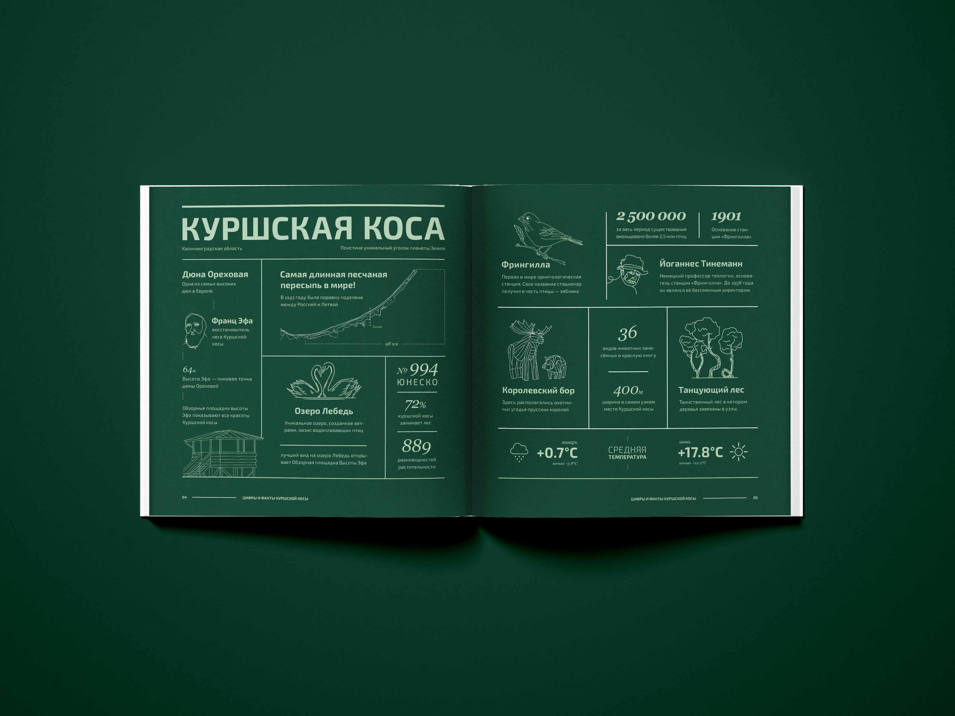Куршская коса | Альманах — Изображение №3 — Графика на Dprofile
