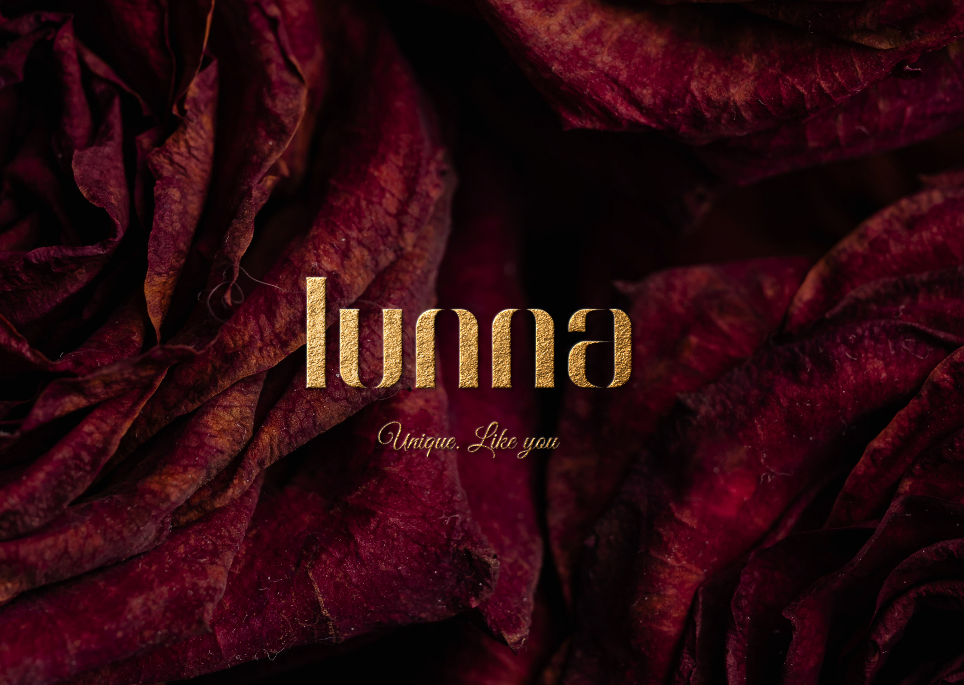 Логотип для бренда украшений — Изображение №5 — Брендинг на Dprofile