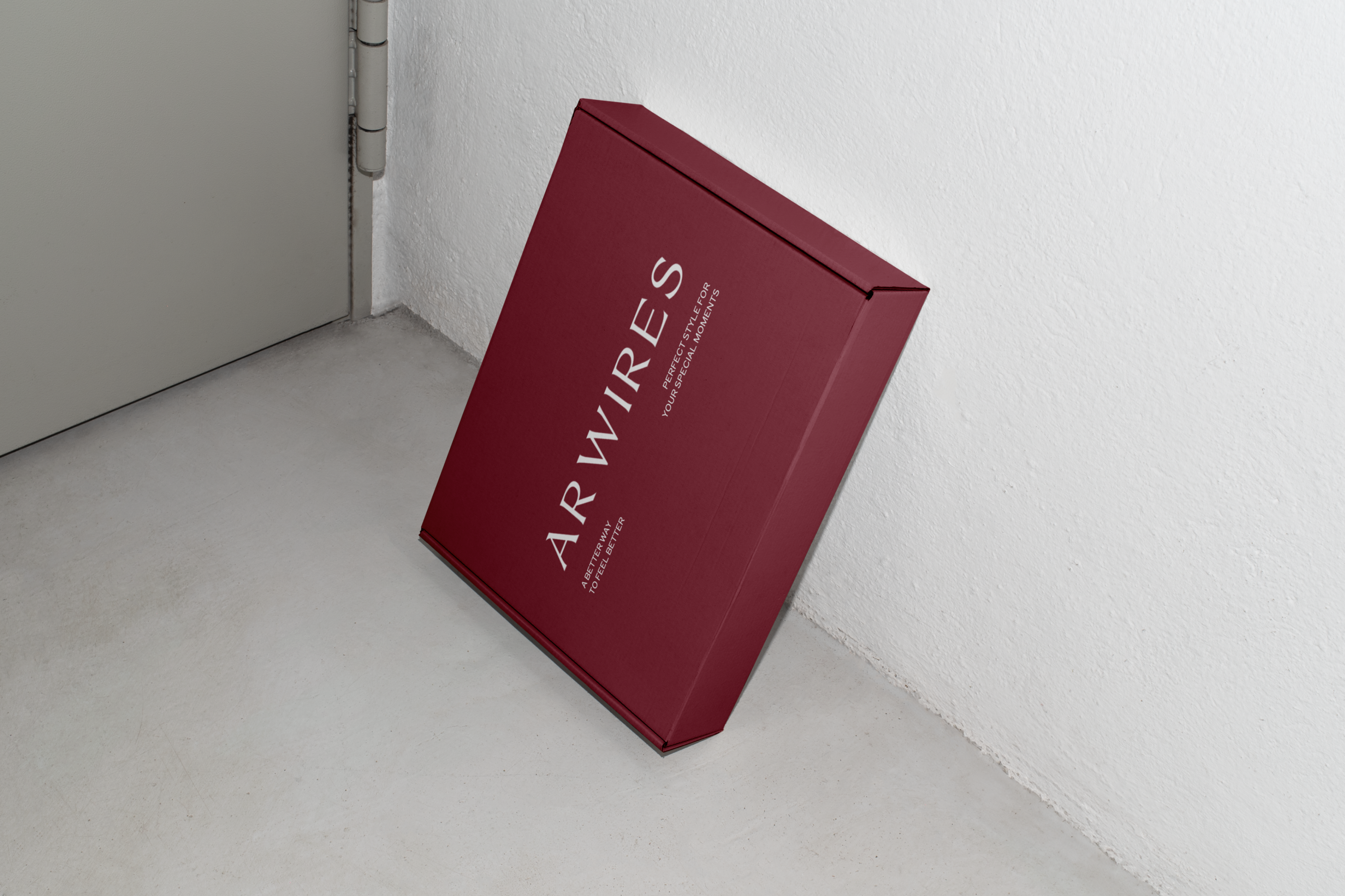 Фирменный стиль для бренда одежды ЛОГОТИП упаковка — Изображение №9 — Брендинг на Dprofile