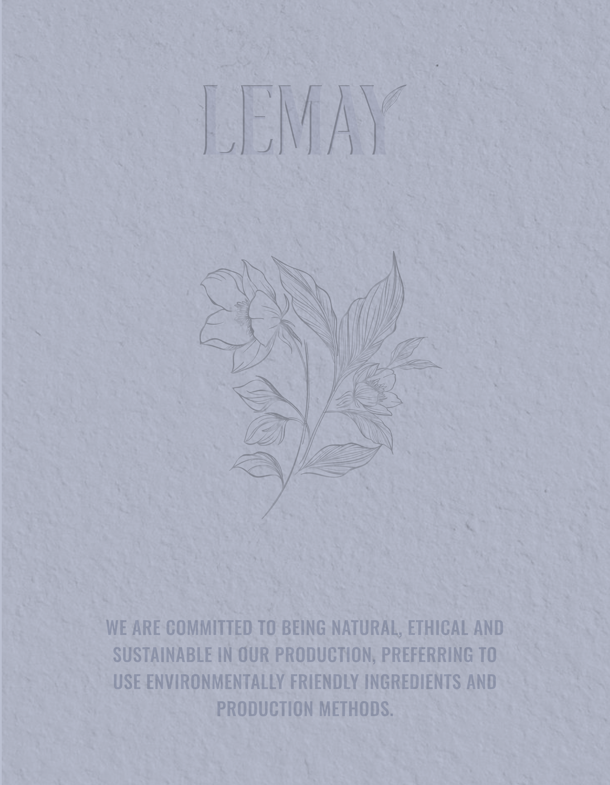 Фирменный стиль бренда косметики айдентика нейминг лого — Изображение №7 — Брендинг на Dprofile