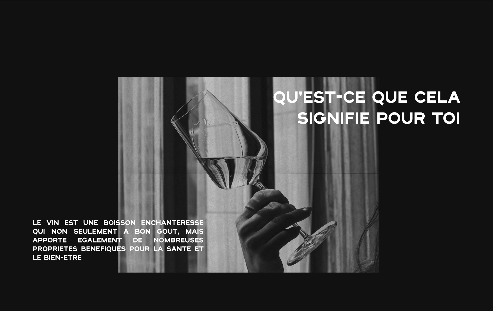 VERITAS | Дизайн логотипа для бренда французского вина — Изображение №12 — Брендинг на Dprofile