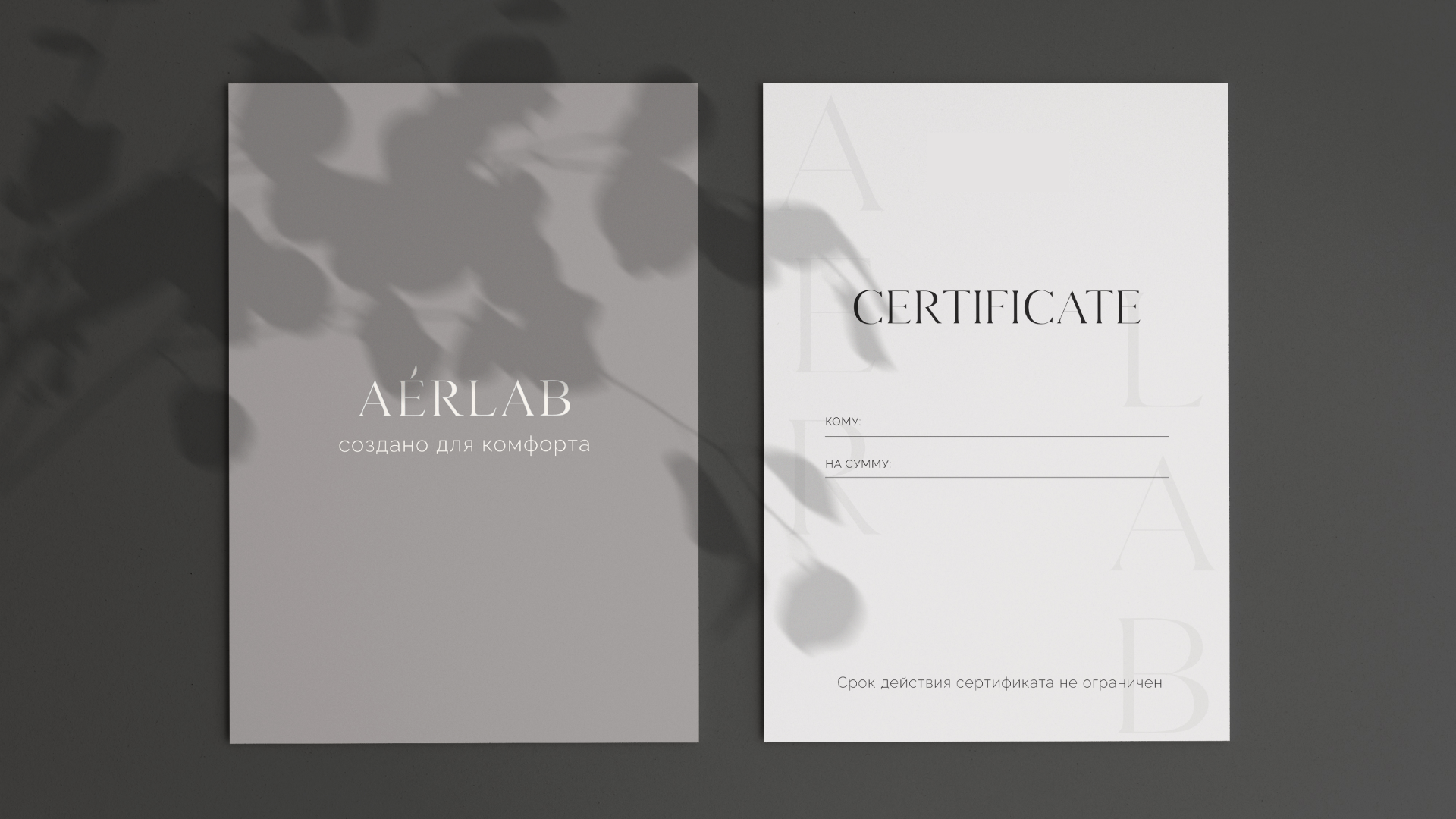 AERLAB | Брендинг, Дизайн фирменного стиля — Изображение №27 — Брендинг, Маркетинг на Dprofile