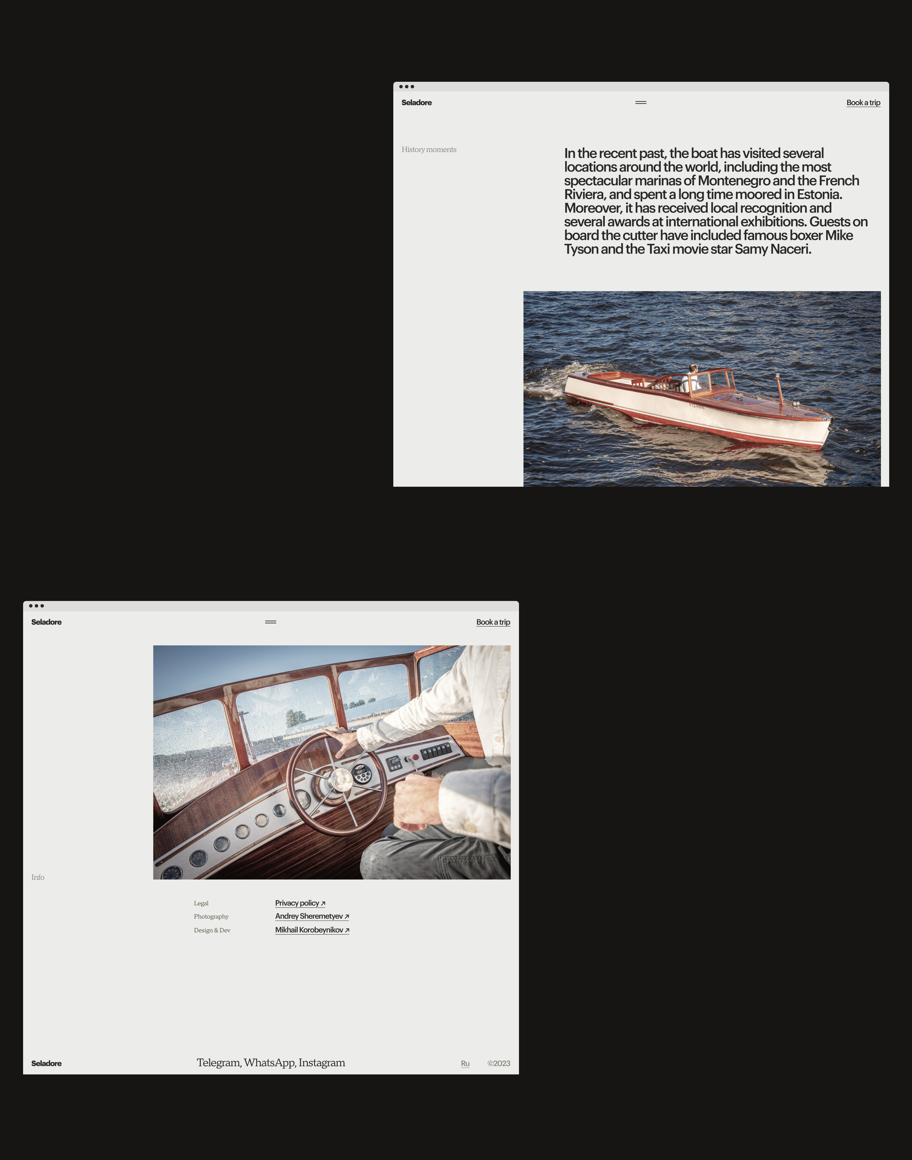 Seladore — Since 1933 — Изображение №9 — Интерфейсы, Брендинг на Dprofile