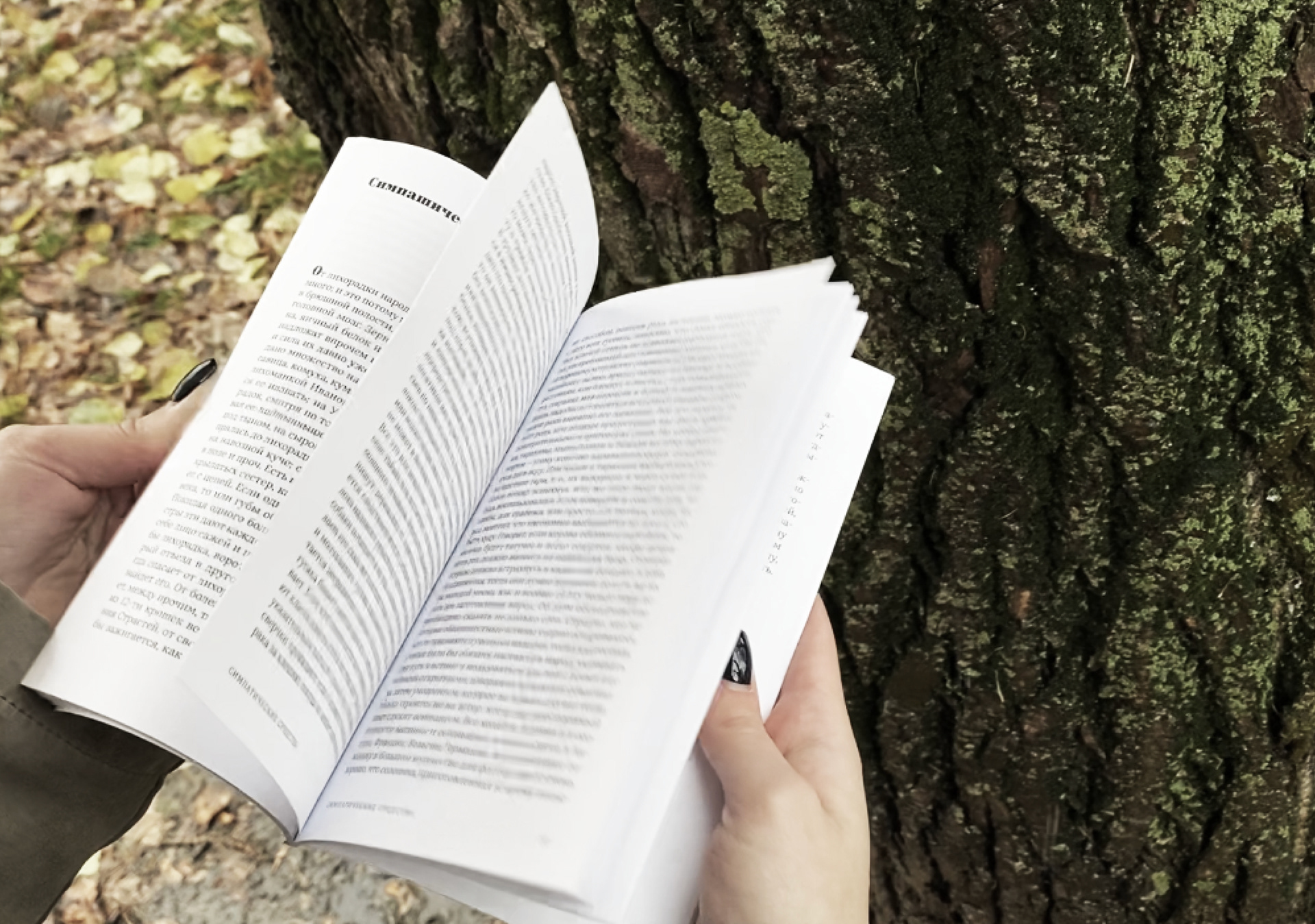 Книги В.И. Даля — Изображение №32 — Графика на Dprofile
