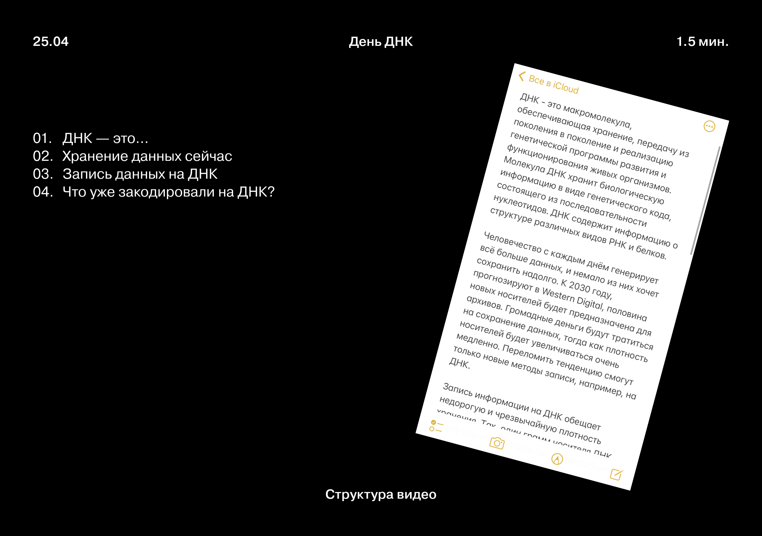 Видеокалендарь: день ДНК и ещё 8 праздников — Изображение №5 — Графика, Анимация на Dprofile