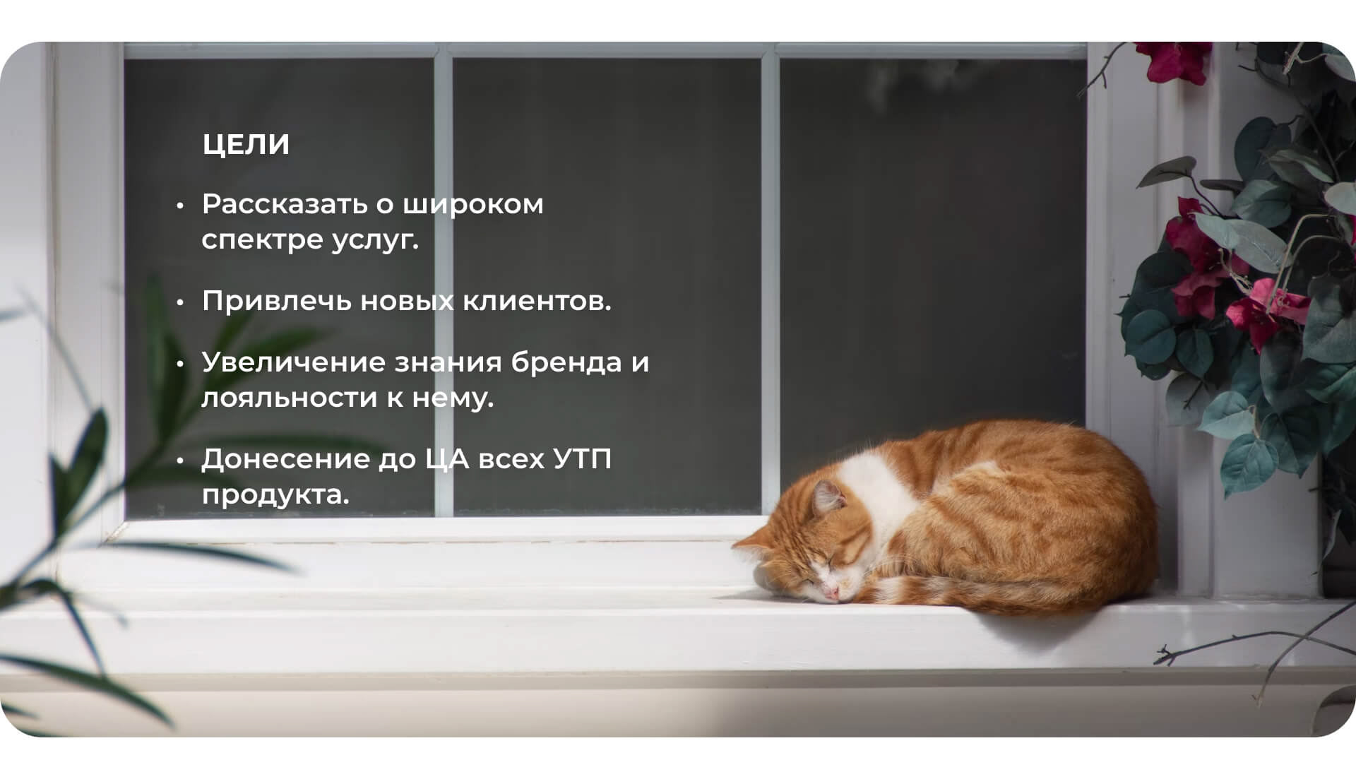 Landing page Cat Doctor — Изображение №3 — Интерфейсы на Dprofile
