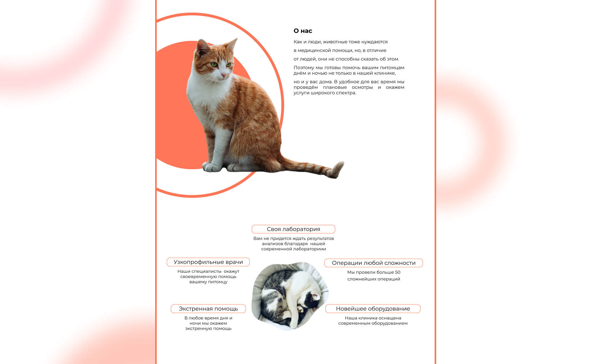 Landing page Cat Doctor — Изображение №5 — Интерфейсы на Dprofile