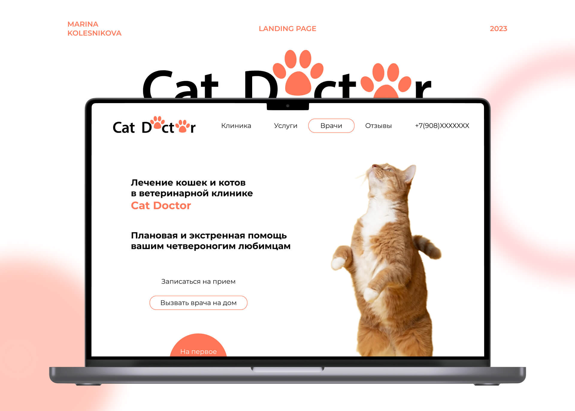 Landing page Cat Doctor — Изображение №1 — Интерфейсы на Dprofile