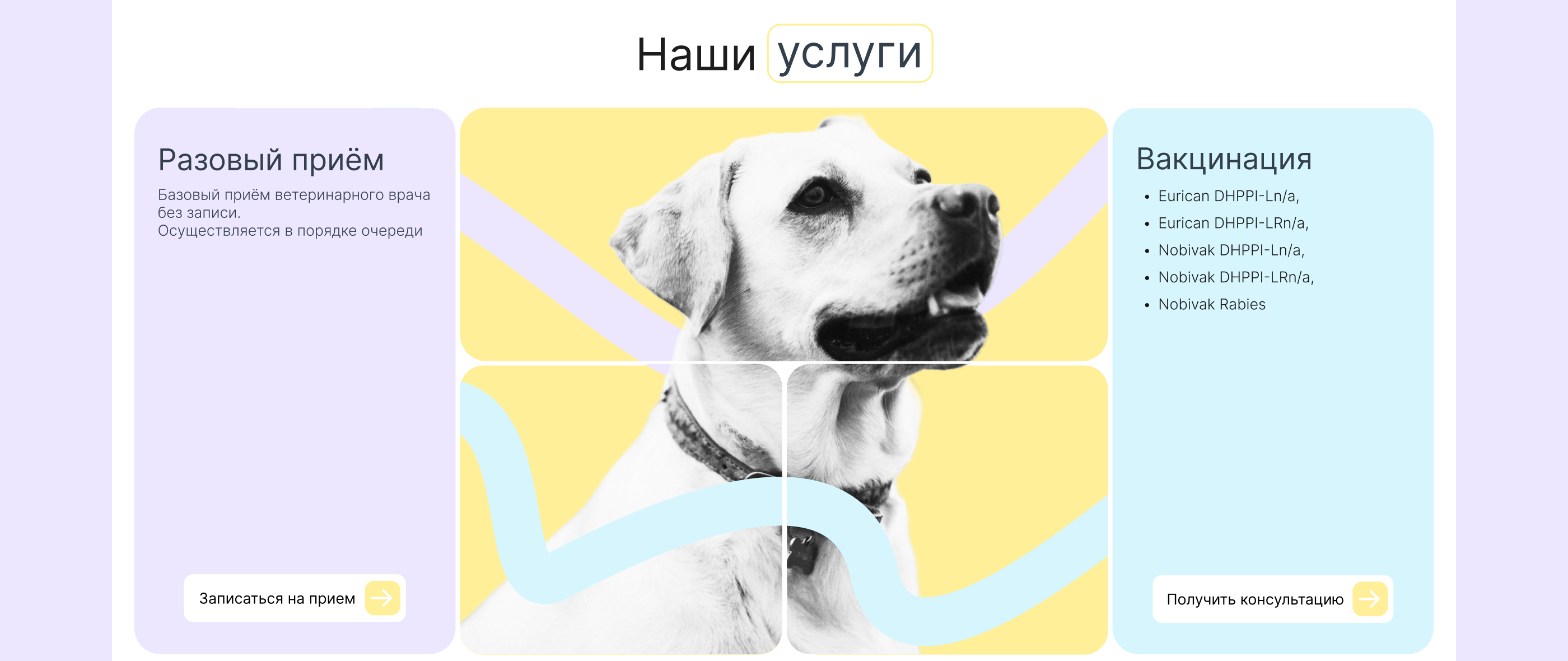 Ветеринарная киника | UX/UI — Изображение №9 — Интерфейсы на Dprofile
