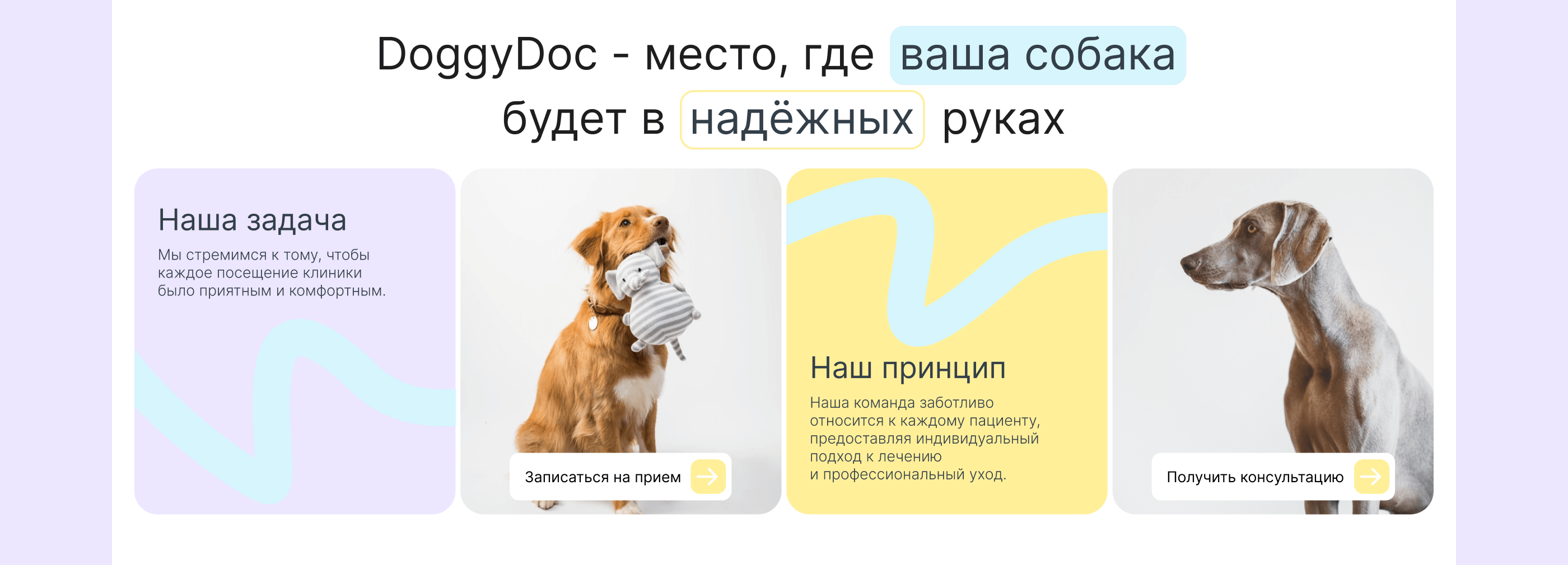 Ветеринарная киника | UX/UI — Изображение №8 — Интерфейсы на Dprofile