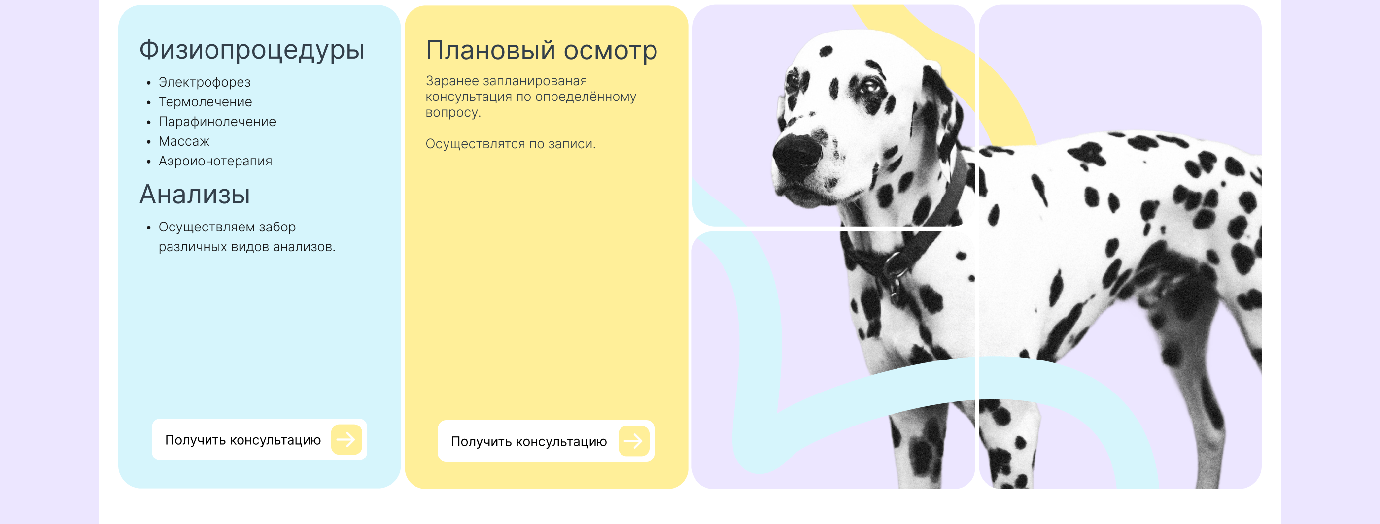 Ветеринарная киника | UX/UI — Изображение №10 — Интерфейсы на Dprofile