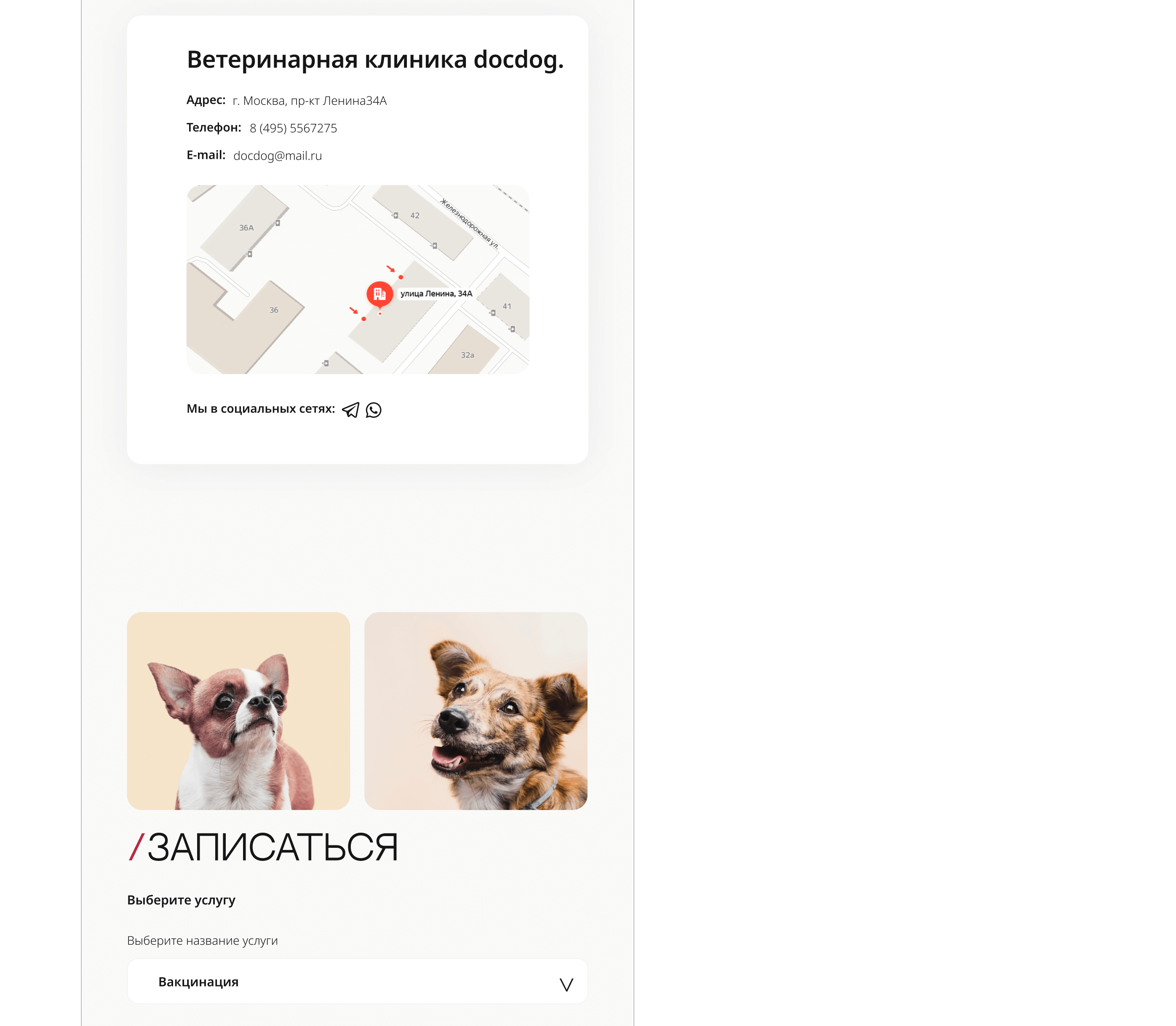 Landing page for veterinary clinic — Изображение №20 — Интерфейсы на Dprofile