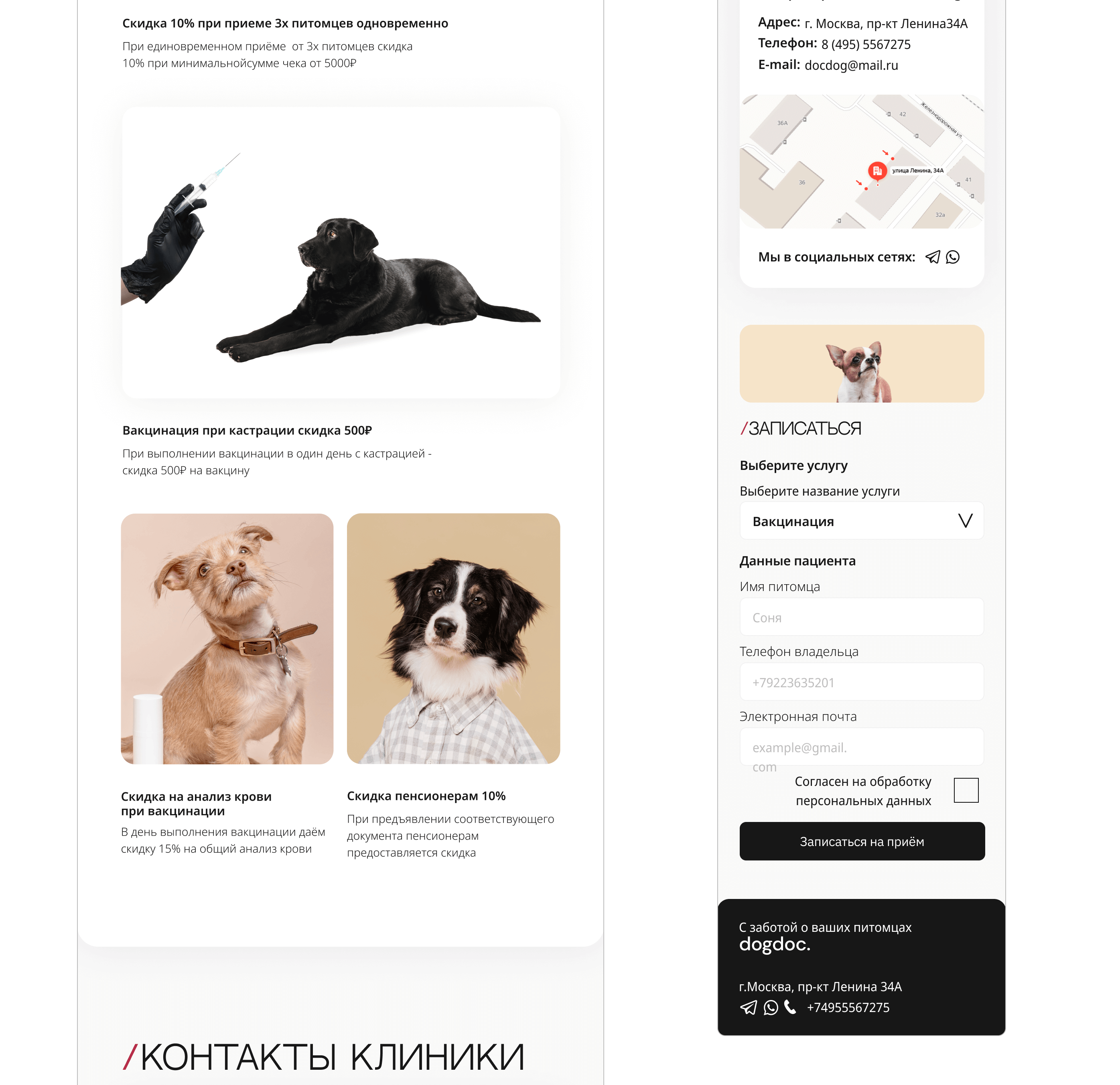 Landing page for veterinary clinic — Изображение №19 — Интерфейсы на Dprofile