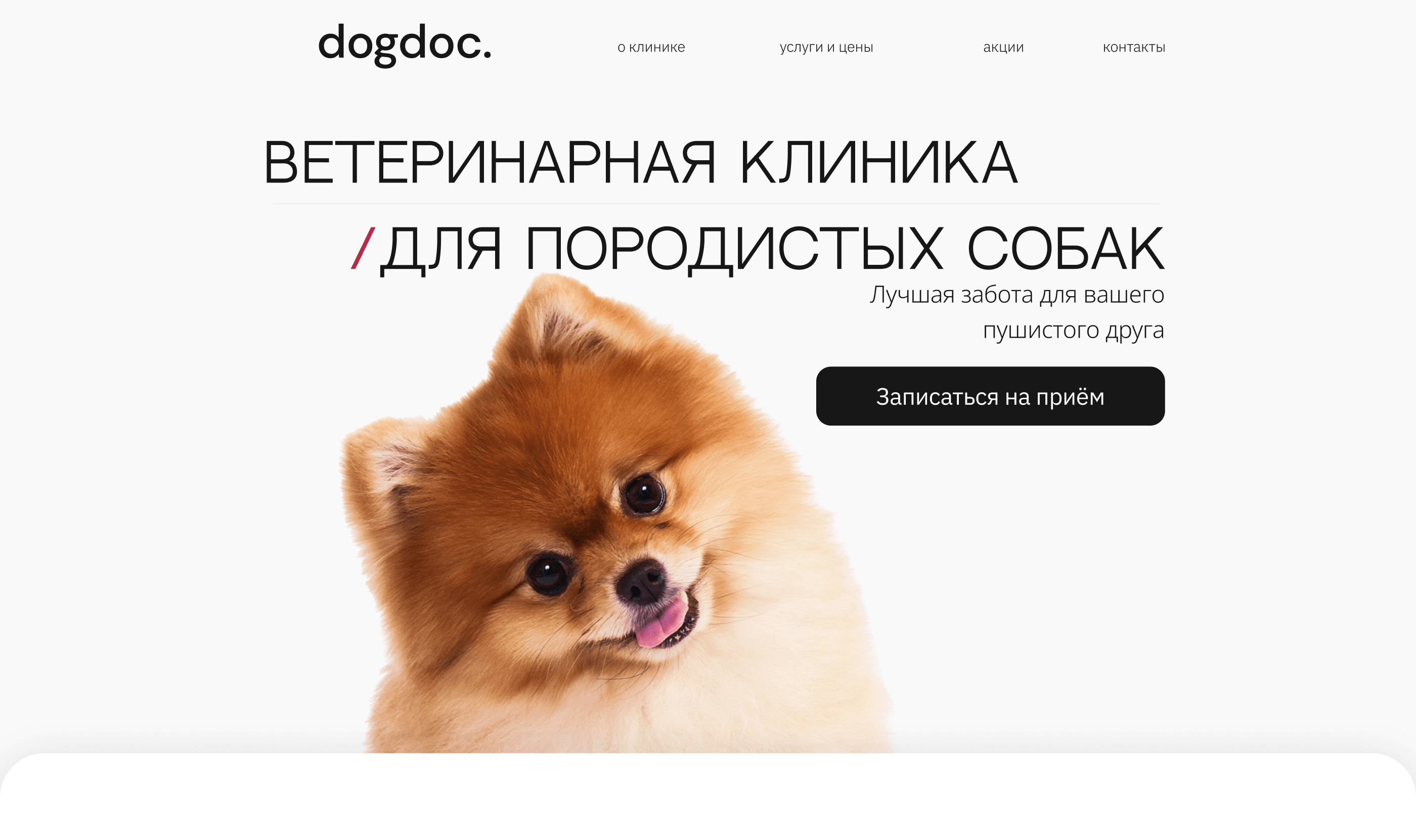 Landing page for veterinary clinic — Изображение №7 — Интерфейсы на Dprofile