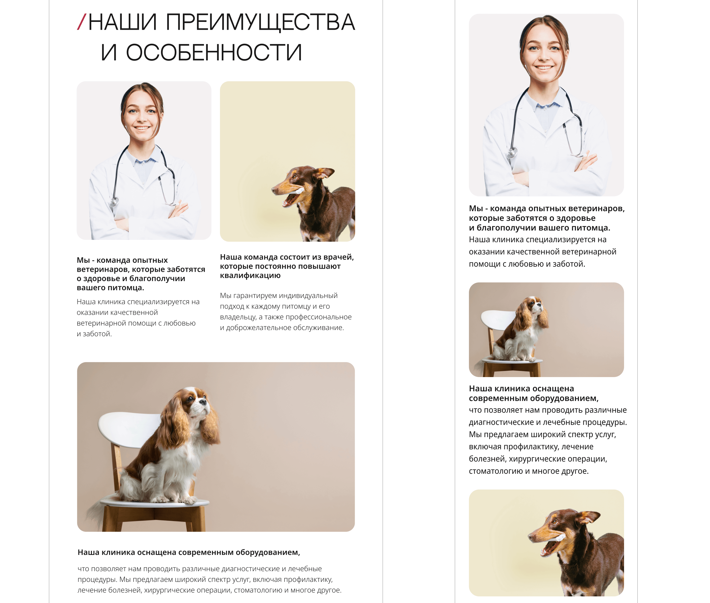 Landing page for veterinary clinic — Изображение №16 — Интерфейсы на Dprofile