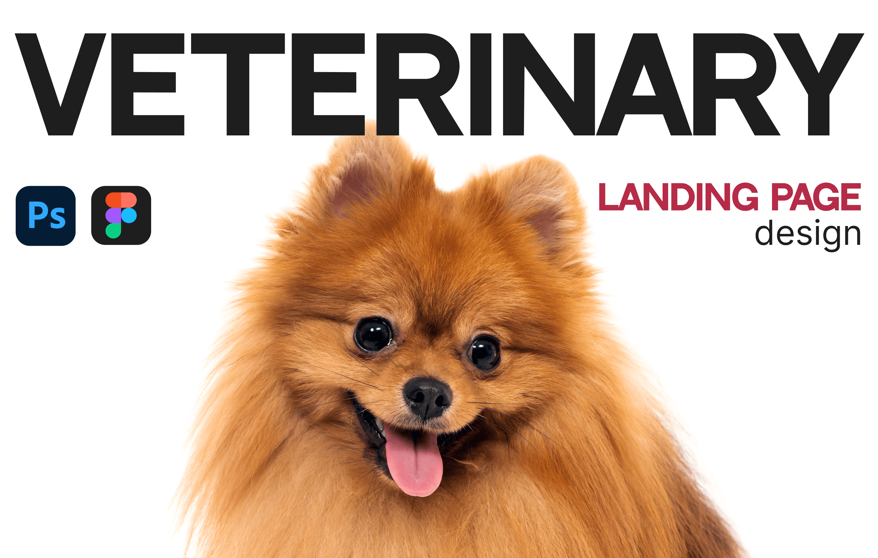 Landing page for veterinary clinic — Изображение №1 — Интерфейсы на Dprofile