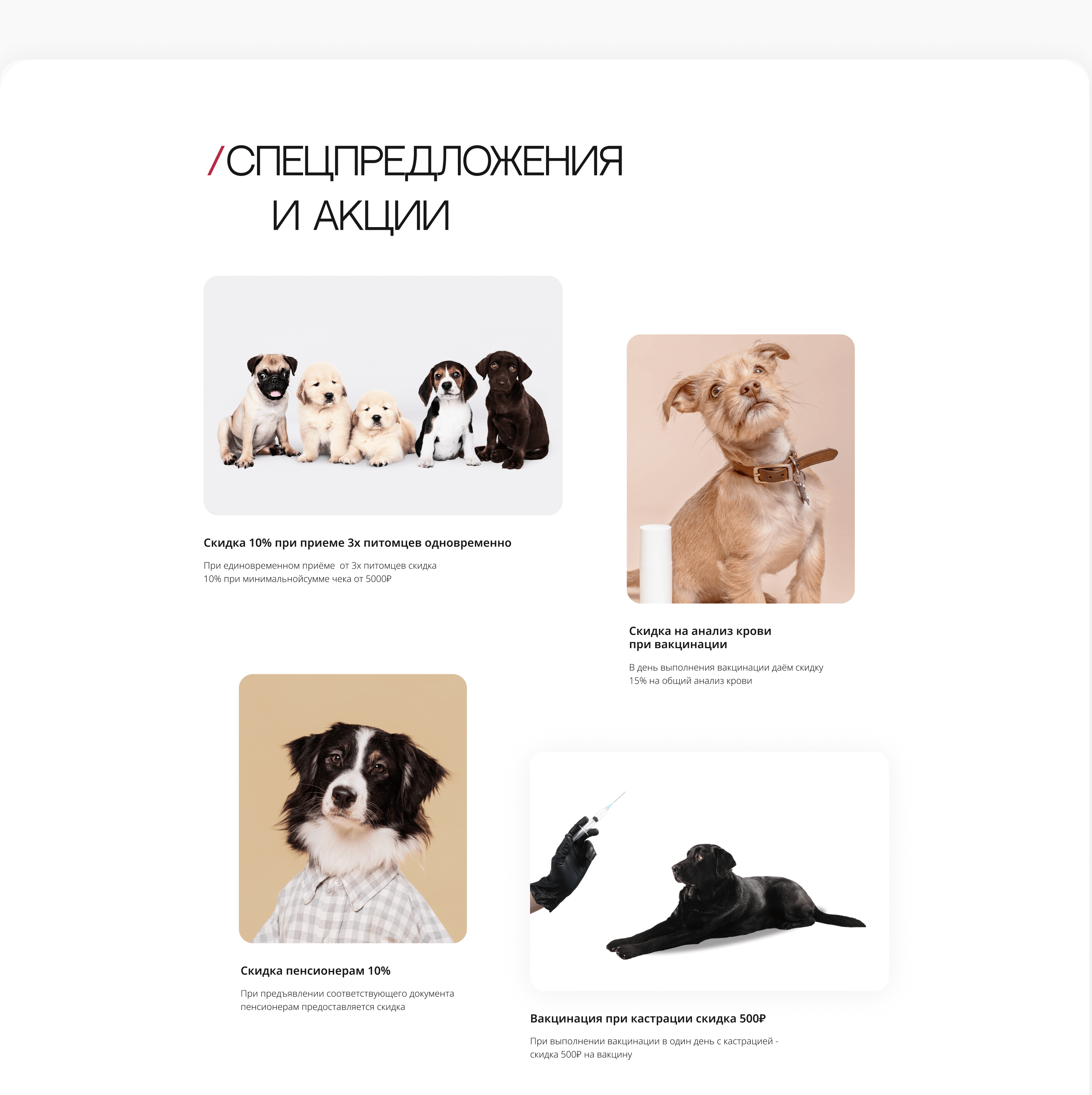Landing page for veterinary clinic — Изображение №10 — Интерфейсы на Dprofile