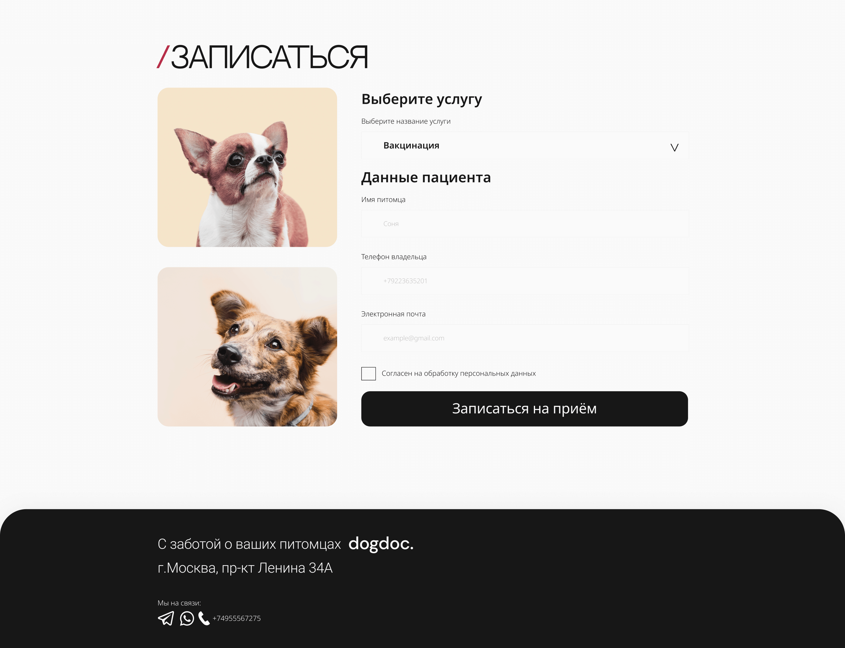 Landing page for veterinary clinic — Изображение №12 — Интерфейсы на Dprofile