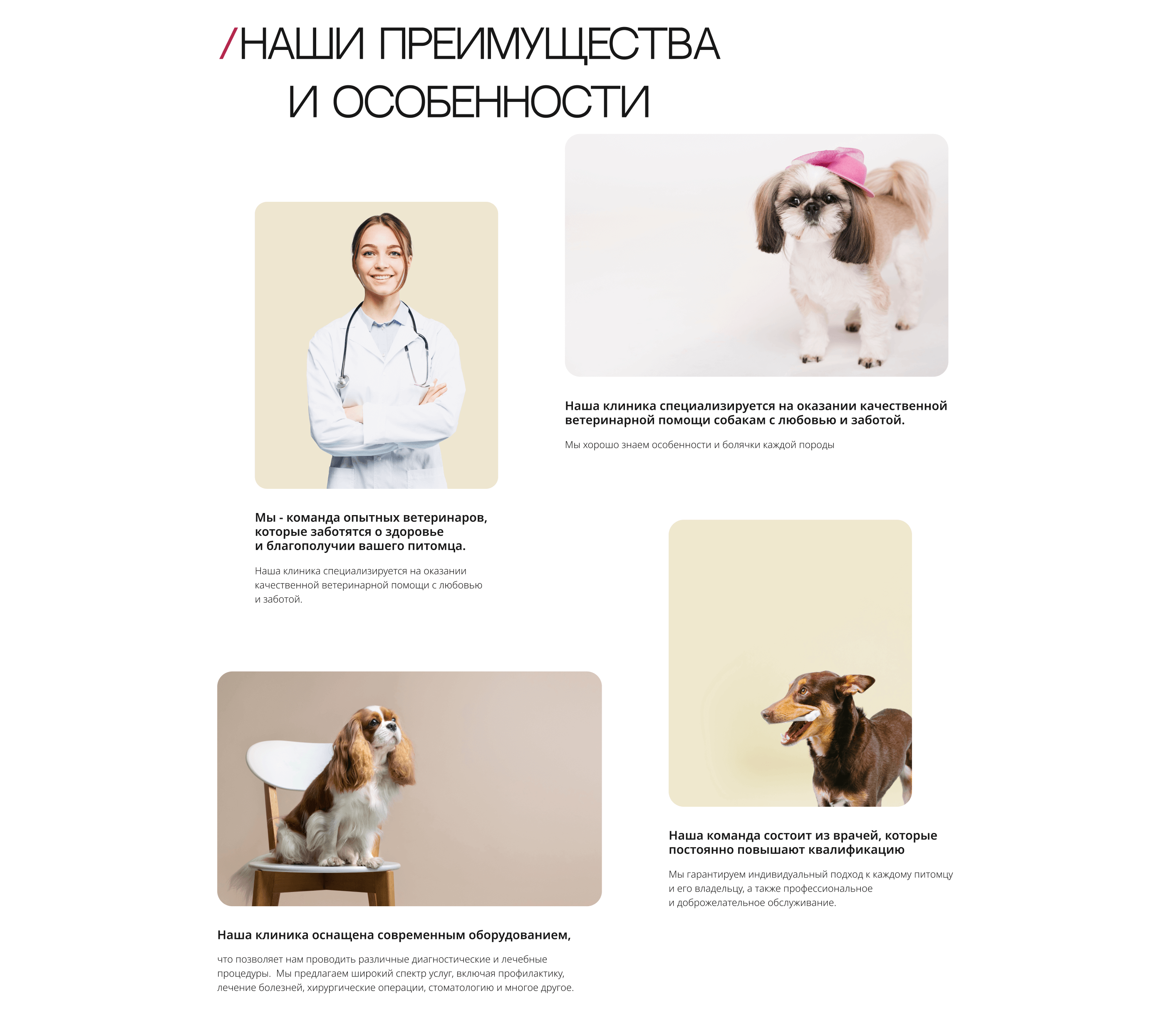 Landing page for veterinary clinic — Изображение №8 — Интерфейсы на Dprofile
