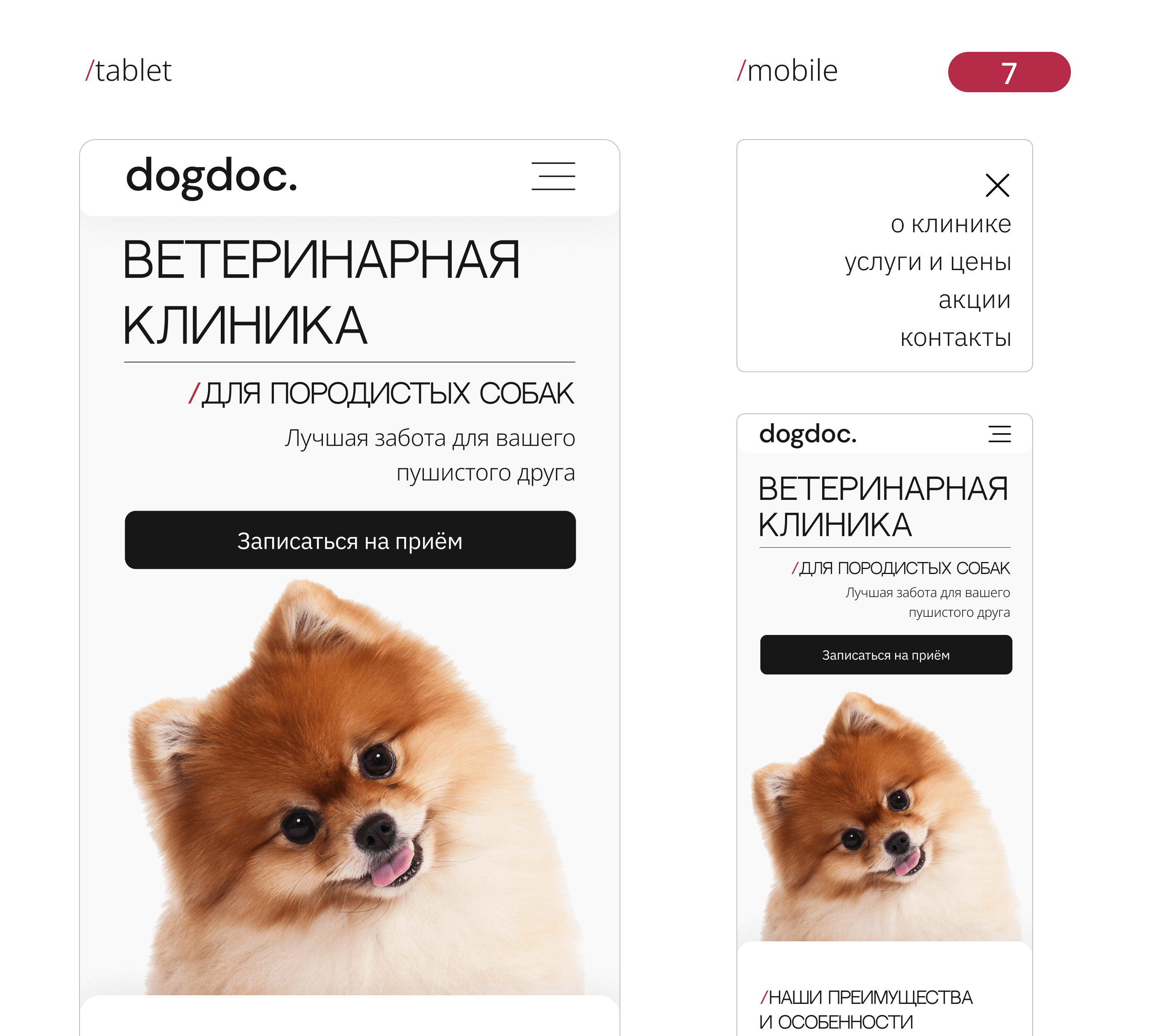 Landing page for veterinary clinic — Изображение №15 — Интерфейсы на Dprofile