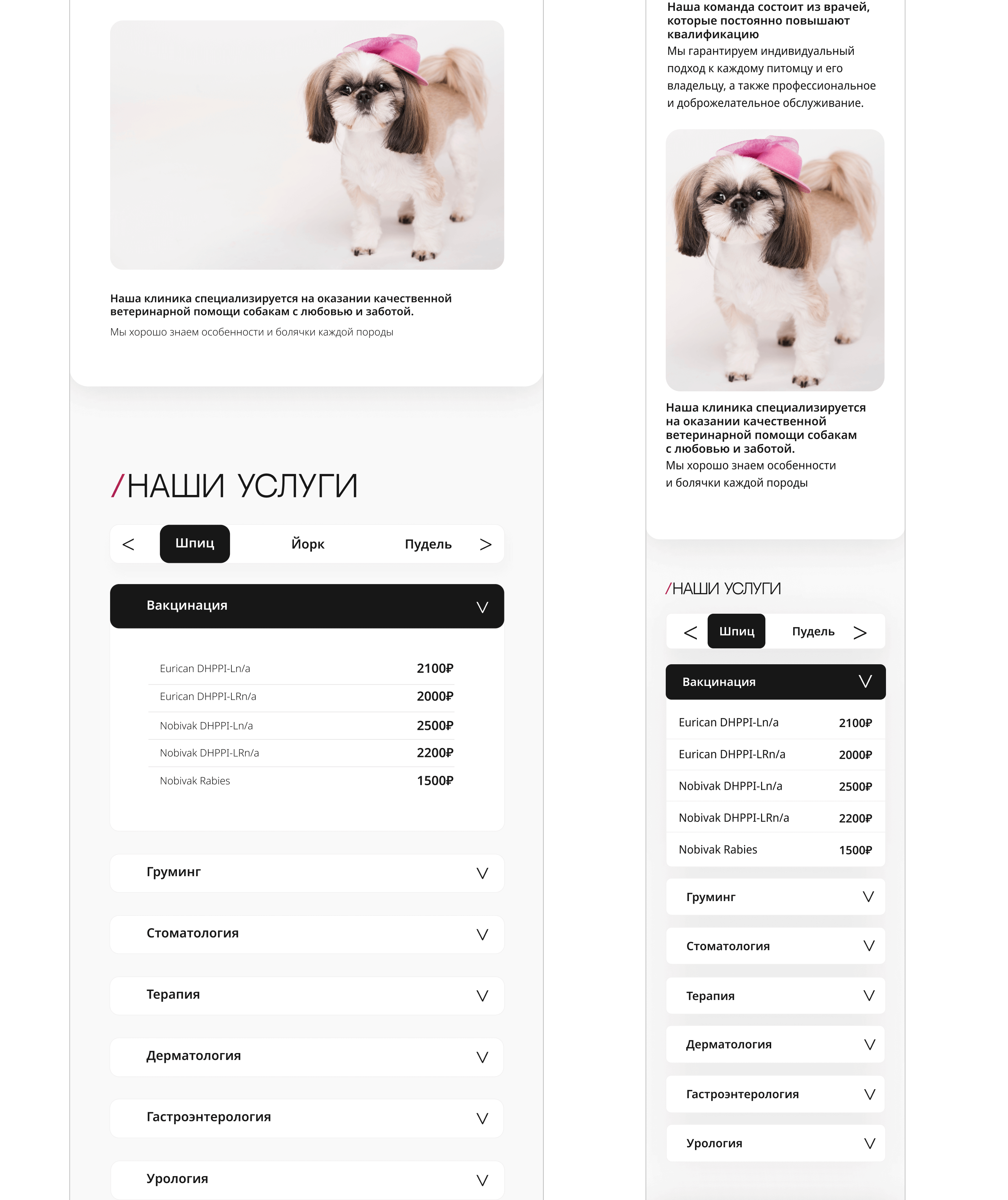 Landing page for veterinary clinic — Изображение №17 — Интерфейсы на Dprofile