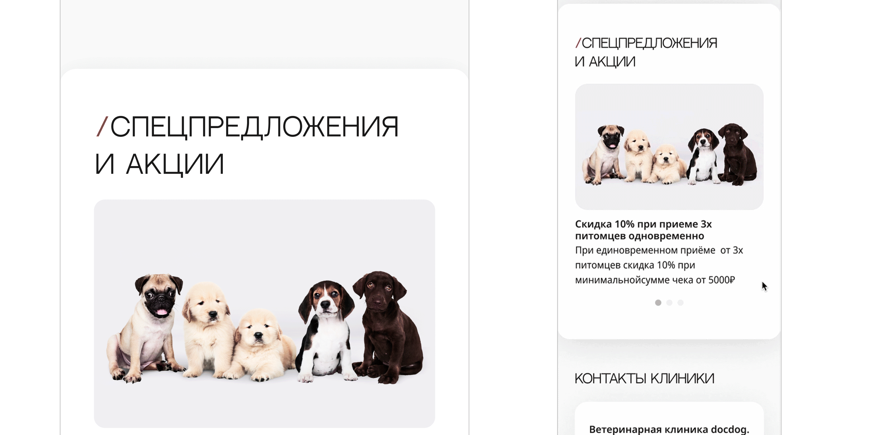 Landing page for veterinary clinic — Изображение №18 — Интерфейсы на Dprofile