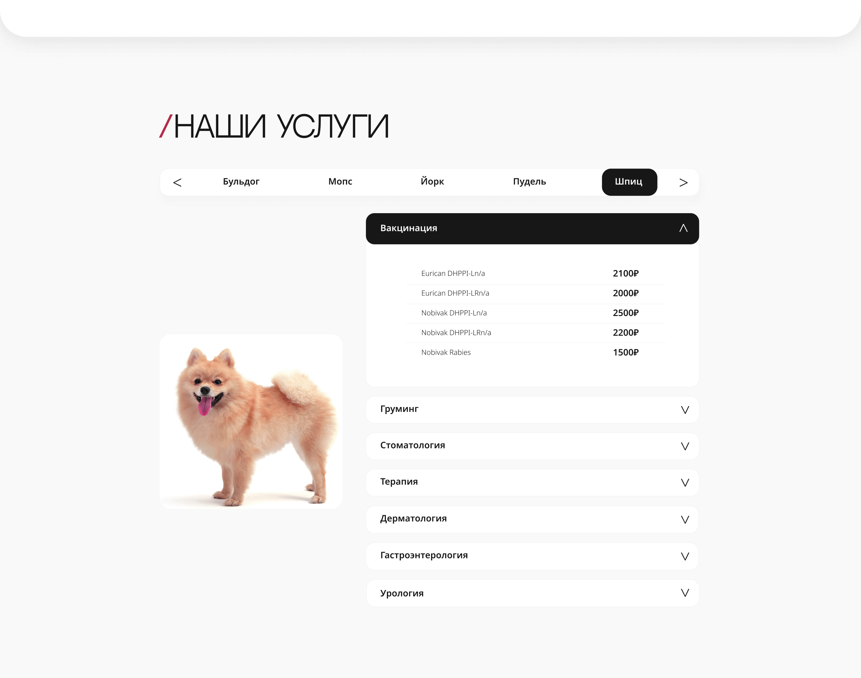 Landing page for veterinary clinic — Изображение №9 — Интерфейсы на Dprofile