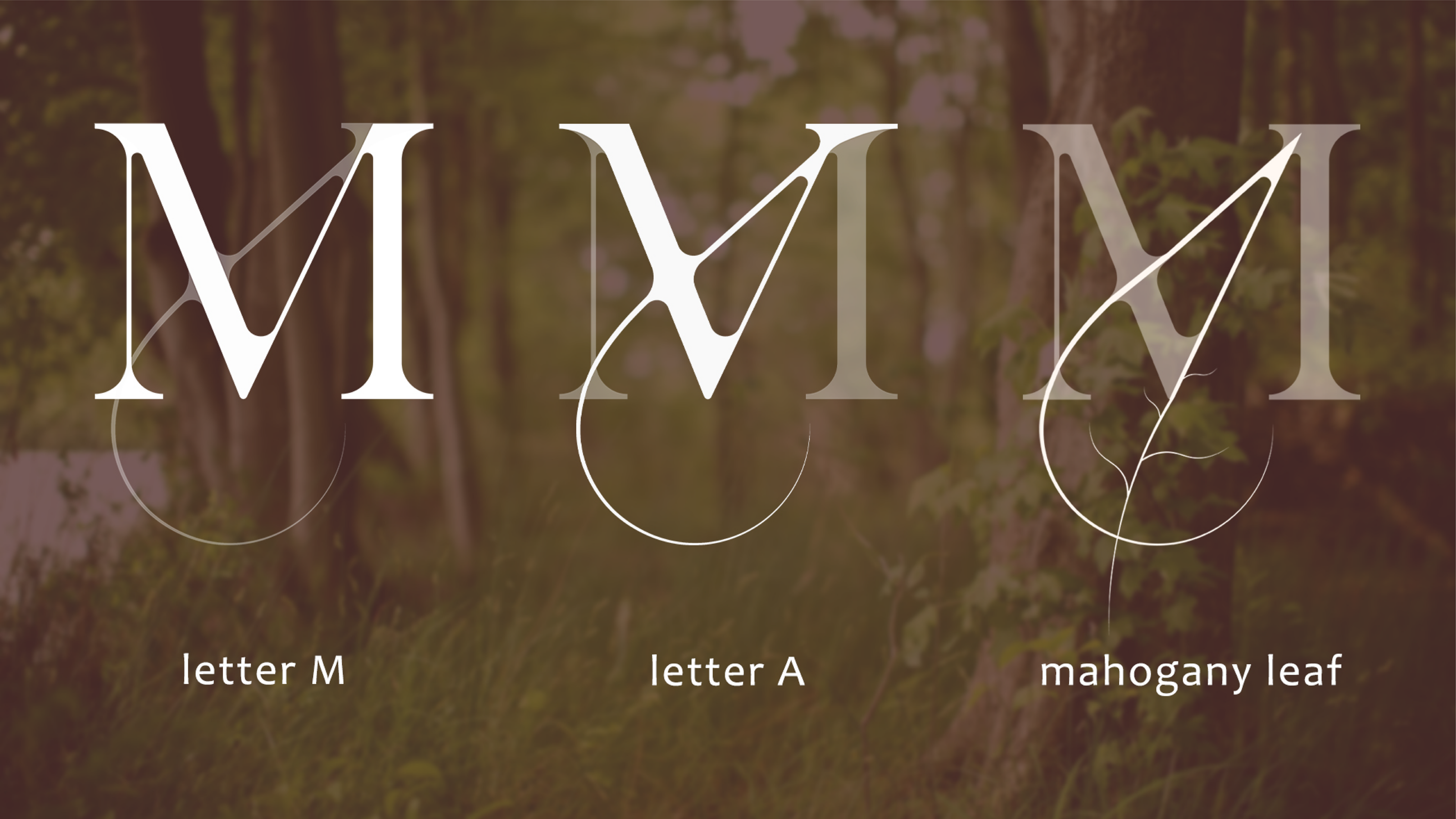 Mahogany — Clothing Brand | Identity — Изображение №5 — Брендинг на Dprofile