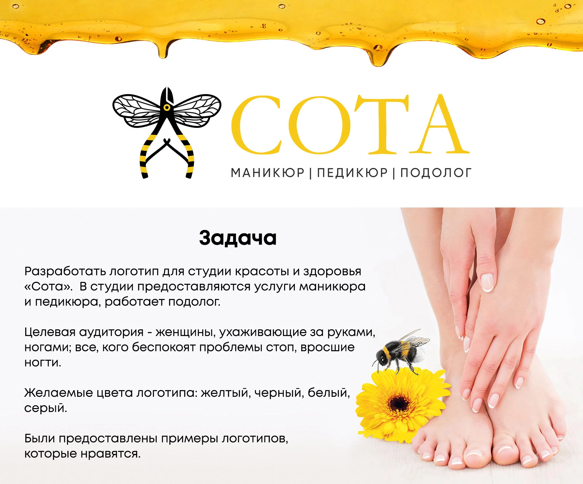 Логотип для студии красоты «Сота» — Изображение №1 — Брендинг на Dprofile