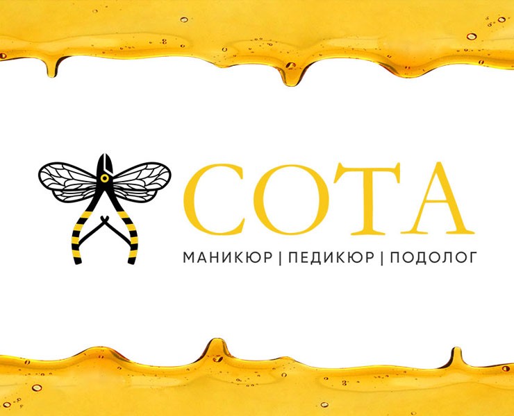 Логотип для студии красоты «Сота» — Брендинг на Dprofile