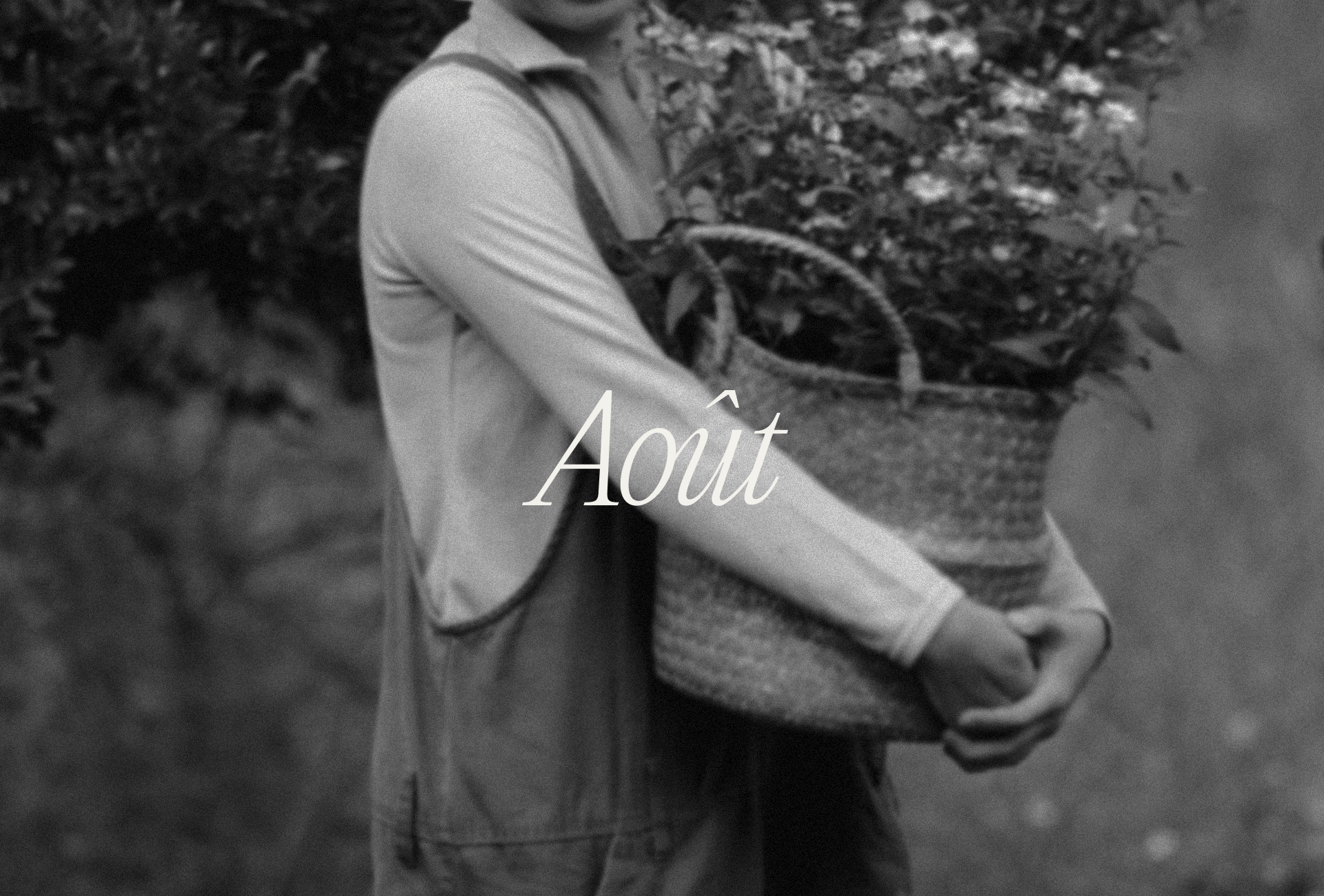 AOÛT — Изображение №1 — Брендинг на Dprofile