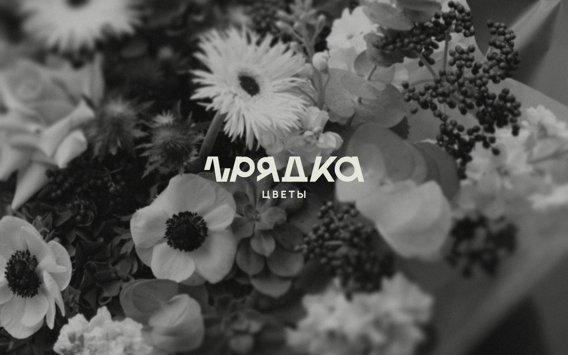 ГРЯДКА — Изображение №1 — Брендинг на Dprofile