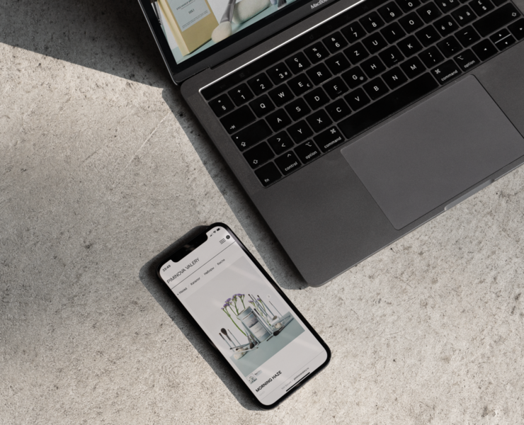 PIMINOVA VALERY WEB DESIGN — Интерфейсы на Dprofile