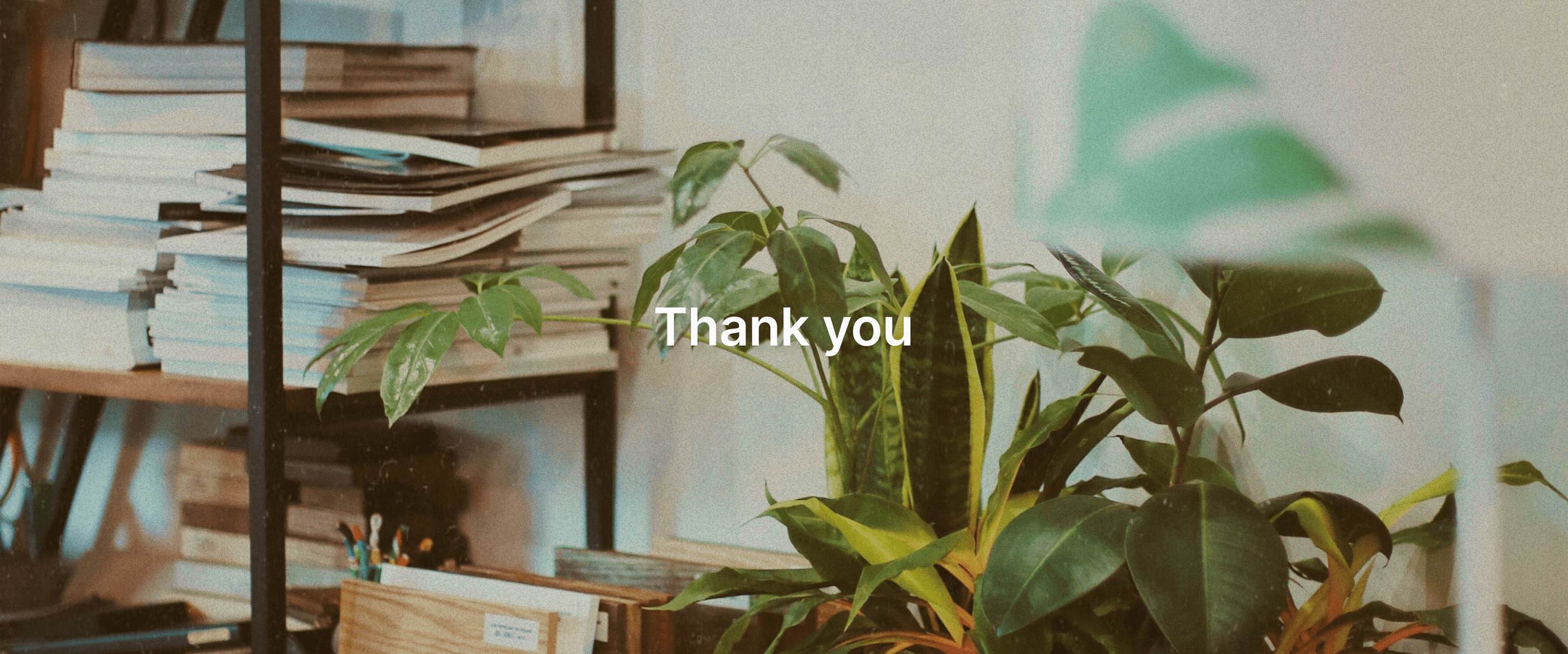 Plants app design concept — Изображение №19 — Интерфейсы на Dprofile