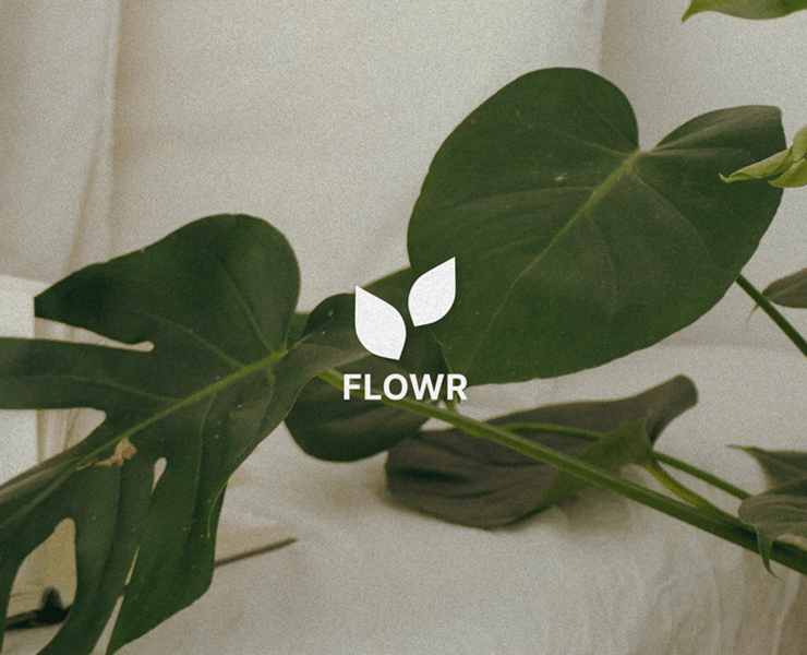 Plants app design concept — Интерфейсы на Dprofile