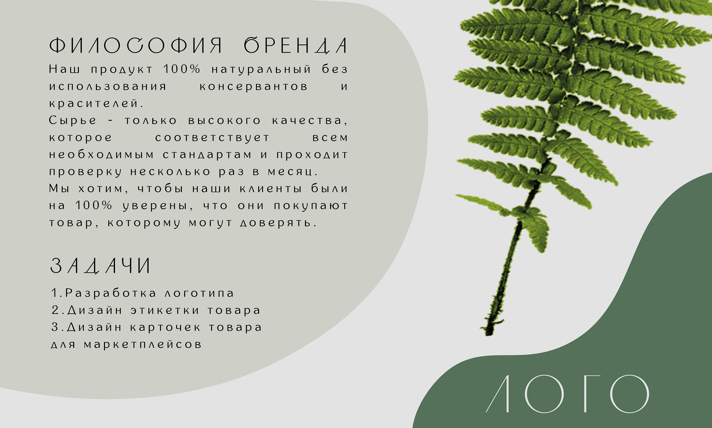 Фирменный стиль для органических добавок — Изображение №2 — Графика, Маркетинг на Dprofile