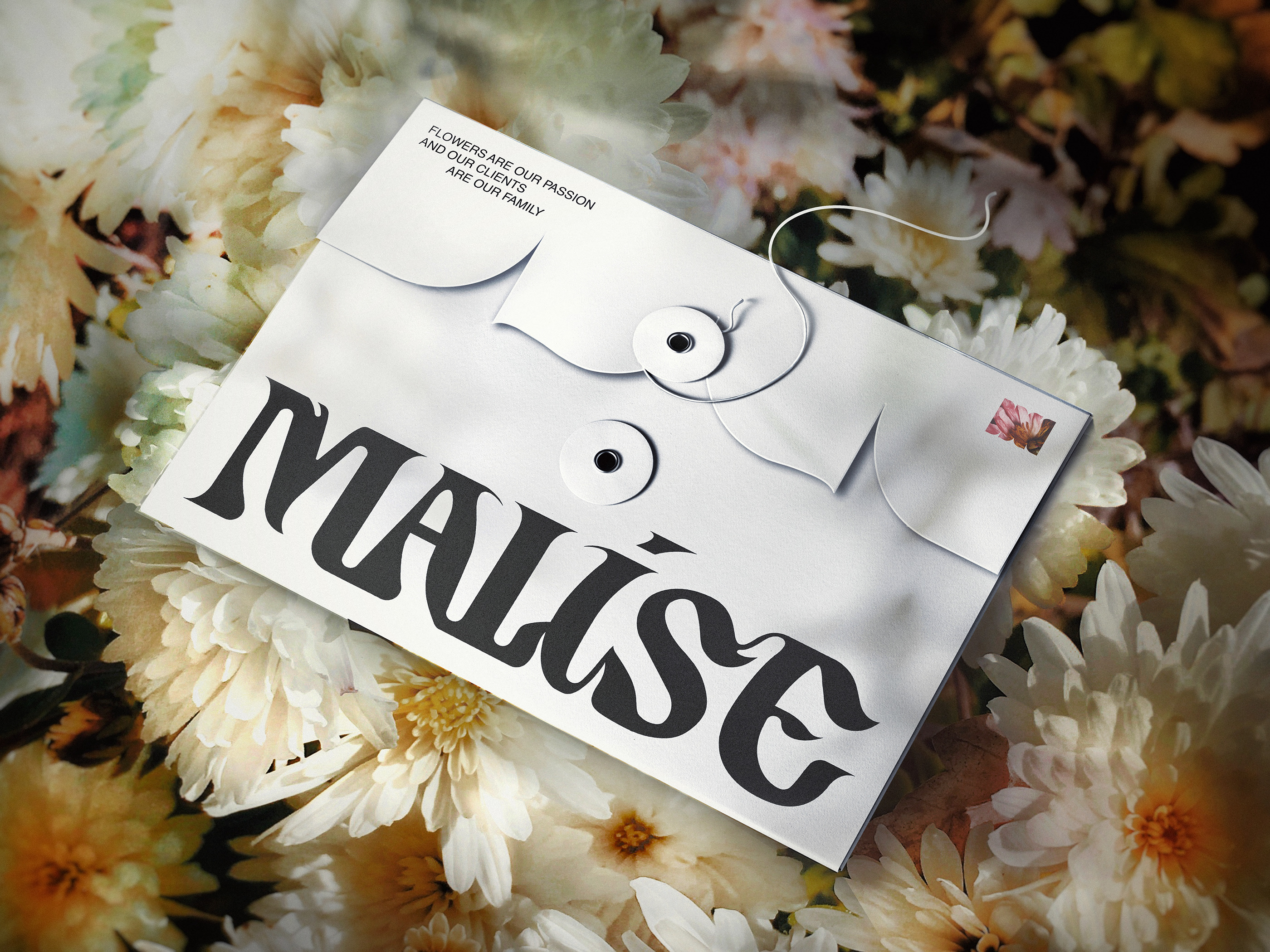 MALISE - visual identity — Изображение №6 — Брендинг, Графика на Dprofile
