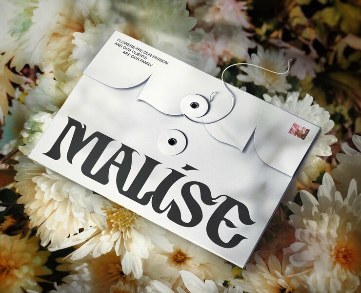 MALISE - visual identity на Dprofile
