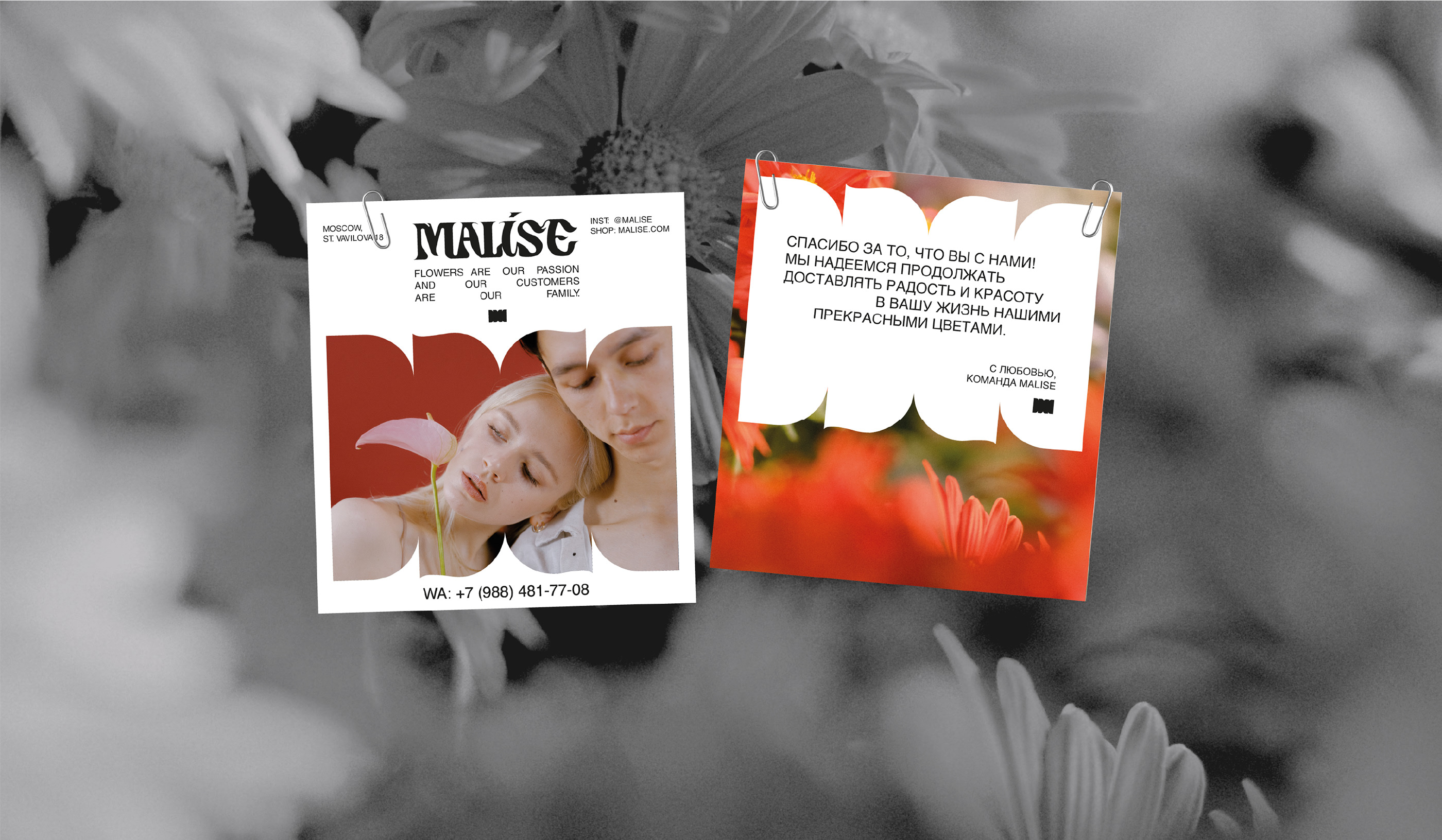 MALISE - visual identity — Изображение №7 — Брендинг, Графика на Dprofile