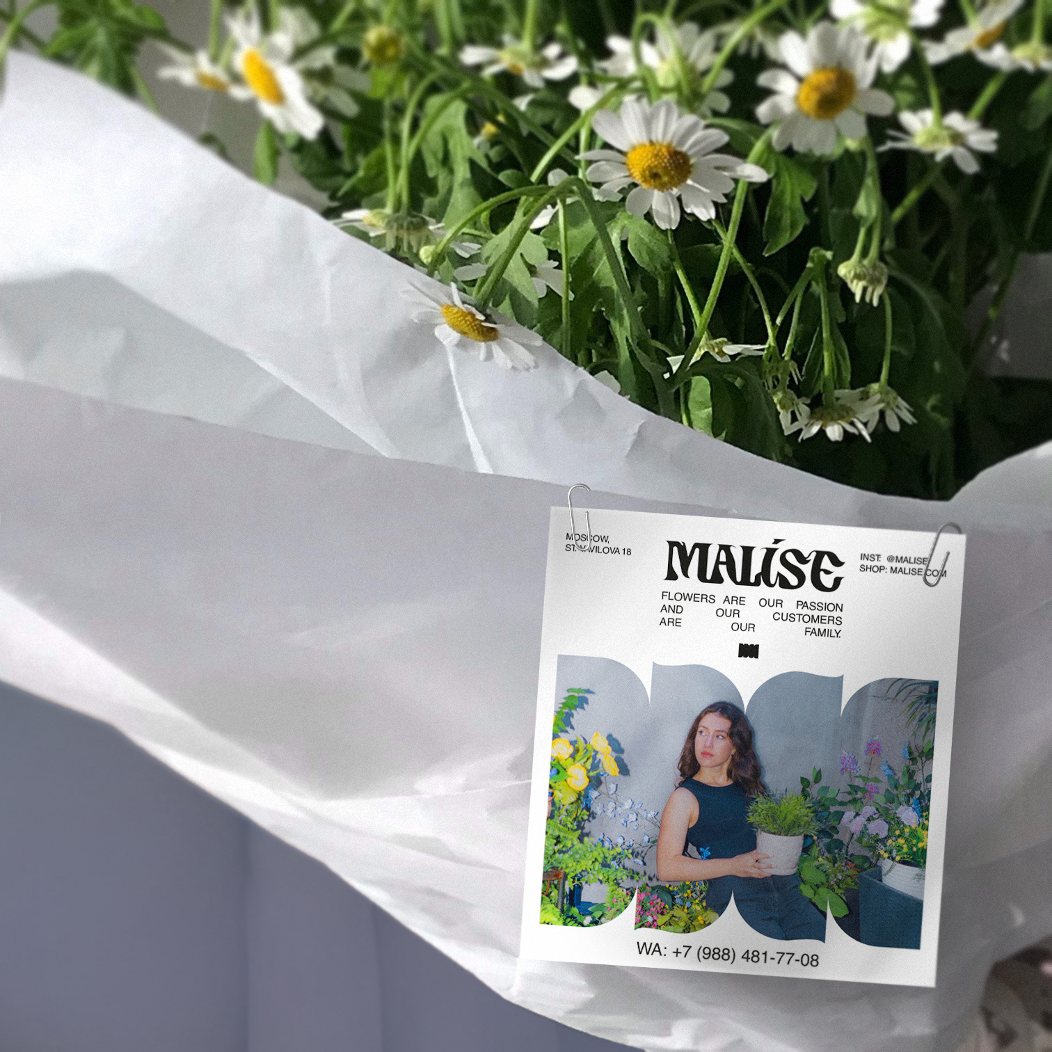 MALISE - visual identity — Изображение №12 — Брендинг, Графика на Dprofile