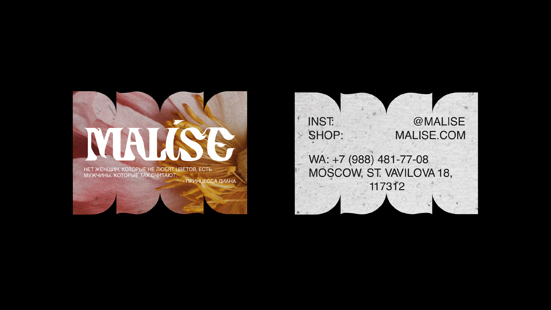 MALISE - visual identity — Изображение №5 — Брендинг, Графика на Dprofile