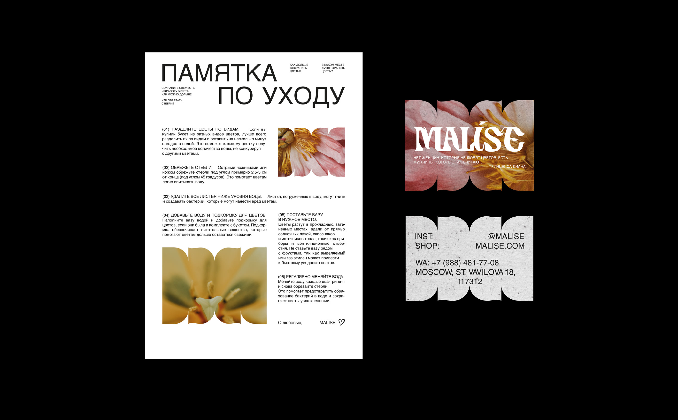 MALISE - visual identity — Изображение №14 — Брендинг, Графика на Dprofile