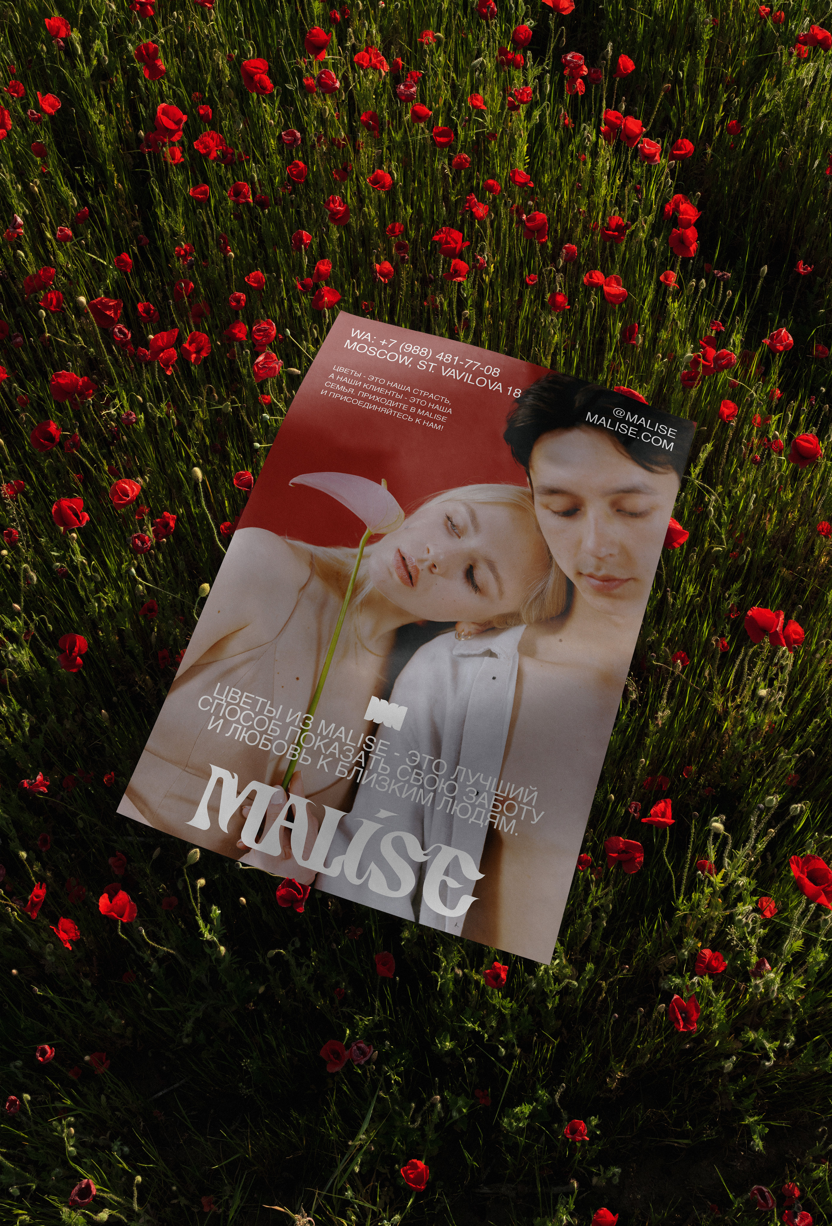 MALISE - visual identity — Изображение №15 — Брендинг, Графика на Dprofile