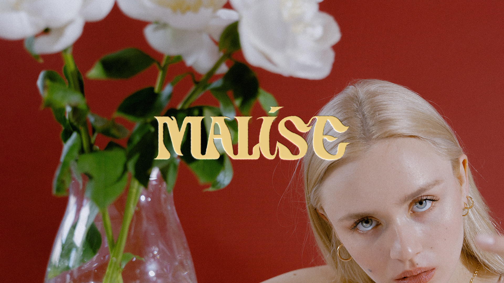 MALISE - visual identity — Изображение №17 — Брендинг, Графика на Dprofile