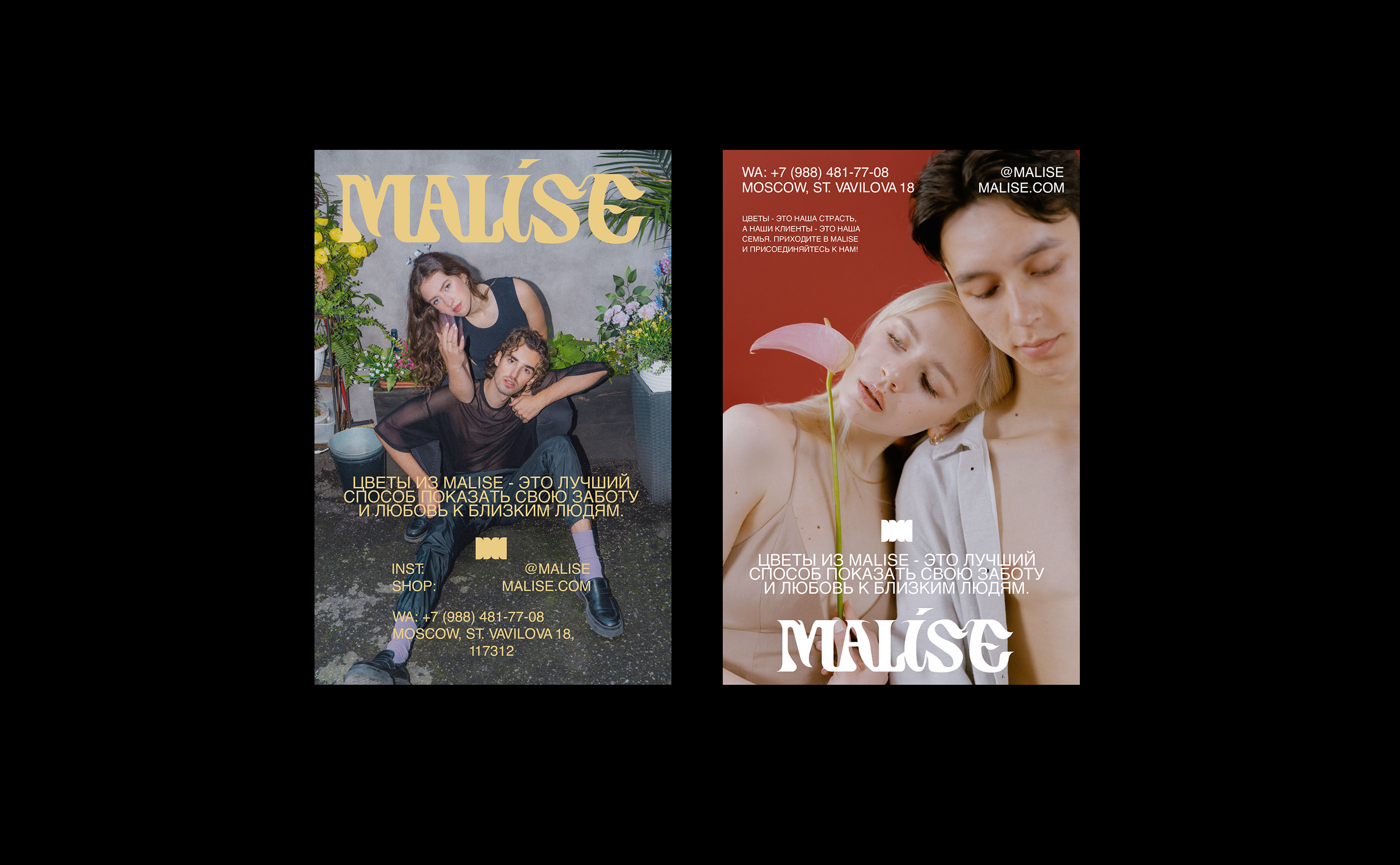 MALISE - visual identity — Изображение №3 — Брендинг, Графика на Dprofile